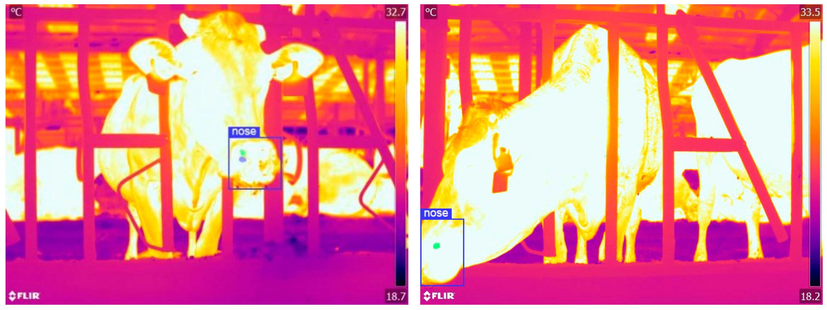 Agriculture 13 01939 g005