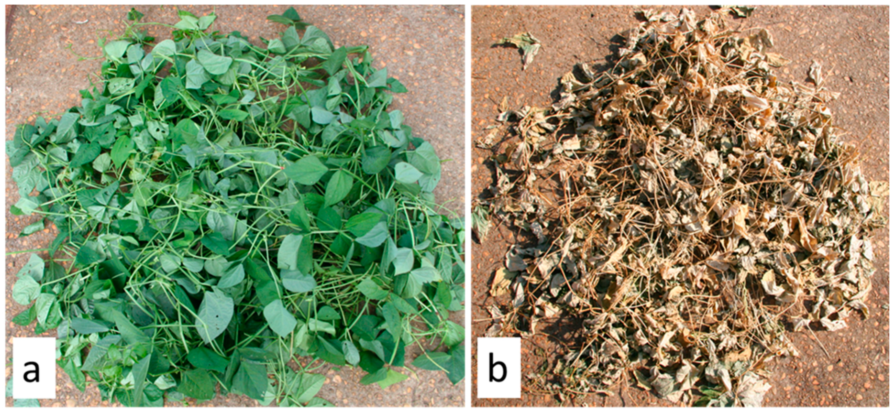 Agriculture 13 01949 g002