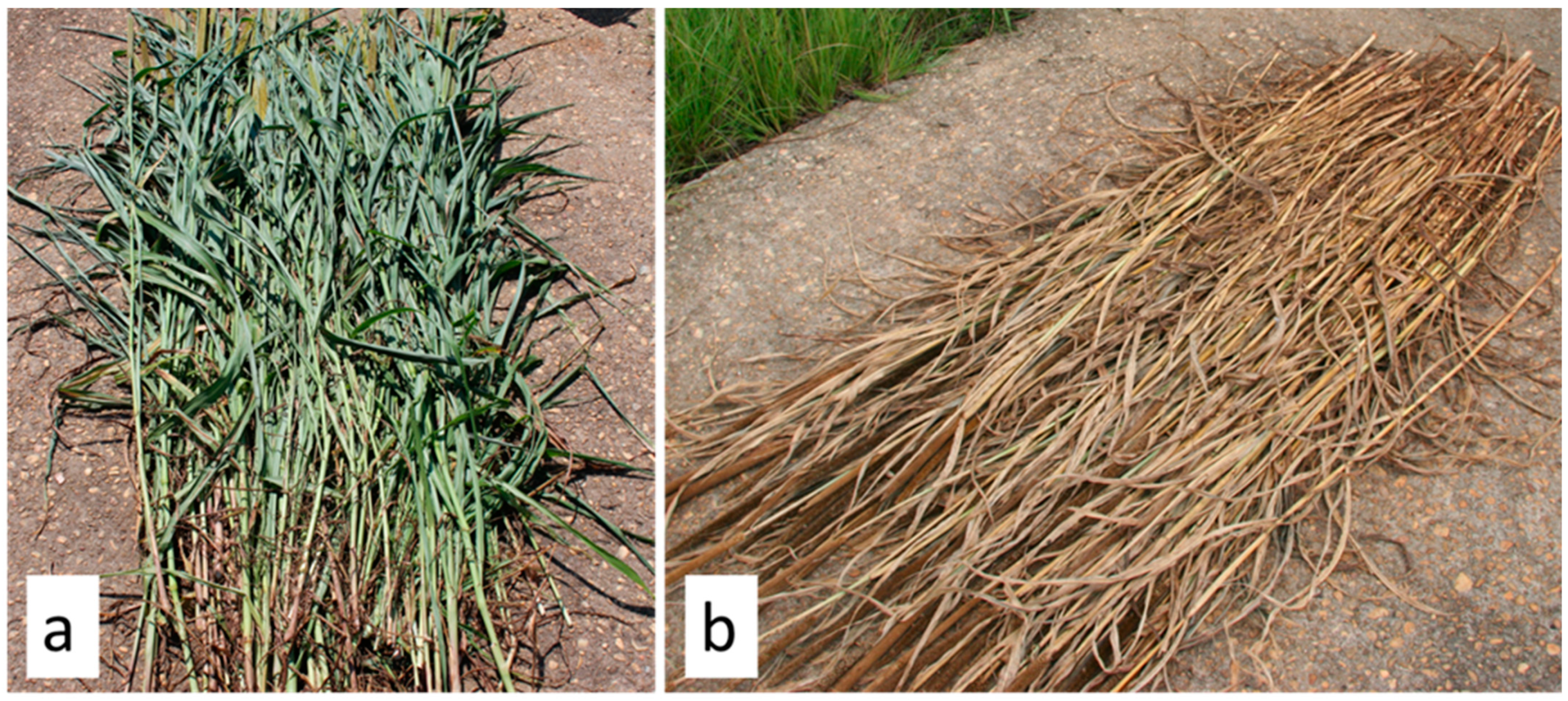 Agriculture 13 01949 g003