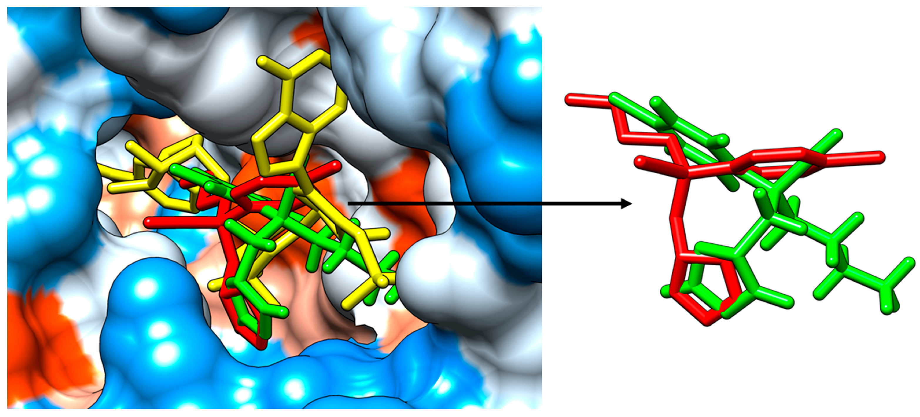 Agriculture 13 01956 g007 Agriculture 13 01956 g007