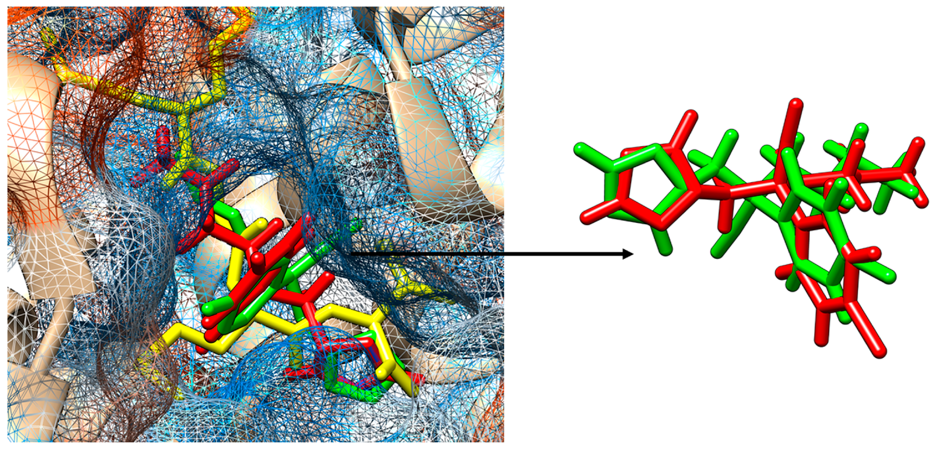 Agriculture 13 01956 g008 Agriculture 13 01956 g008