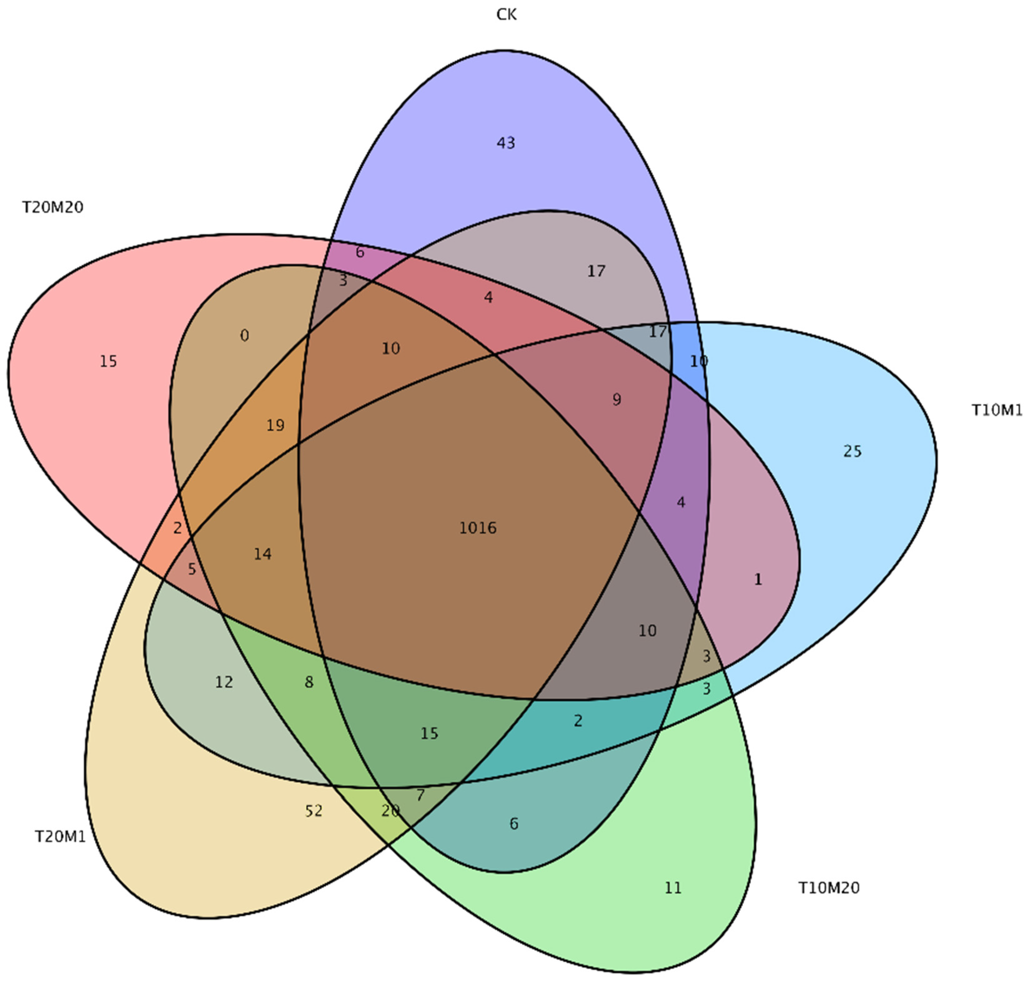 Agriculture 13 01964 g012