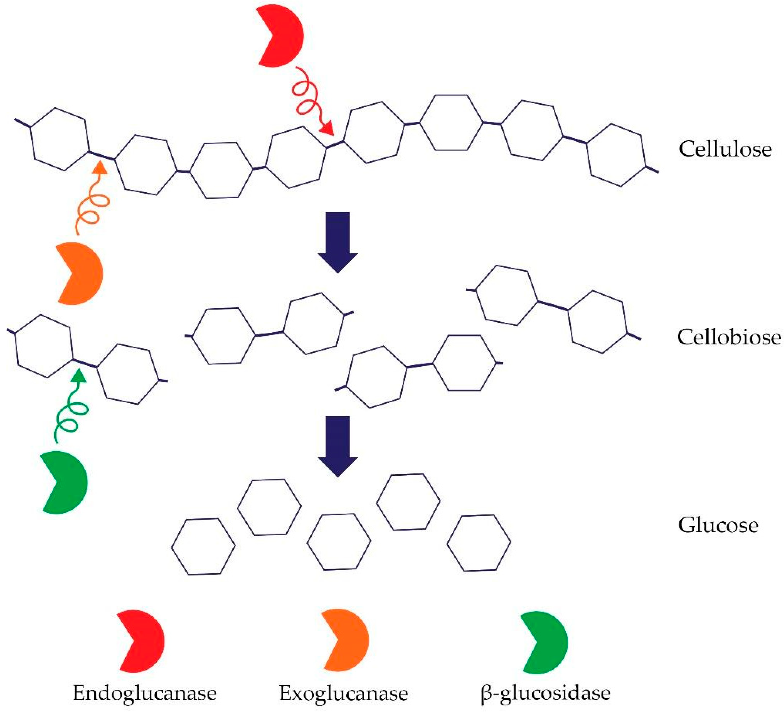 Agriculture 13 01979 g002 Agriculture 13 01979 g002