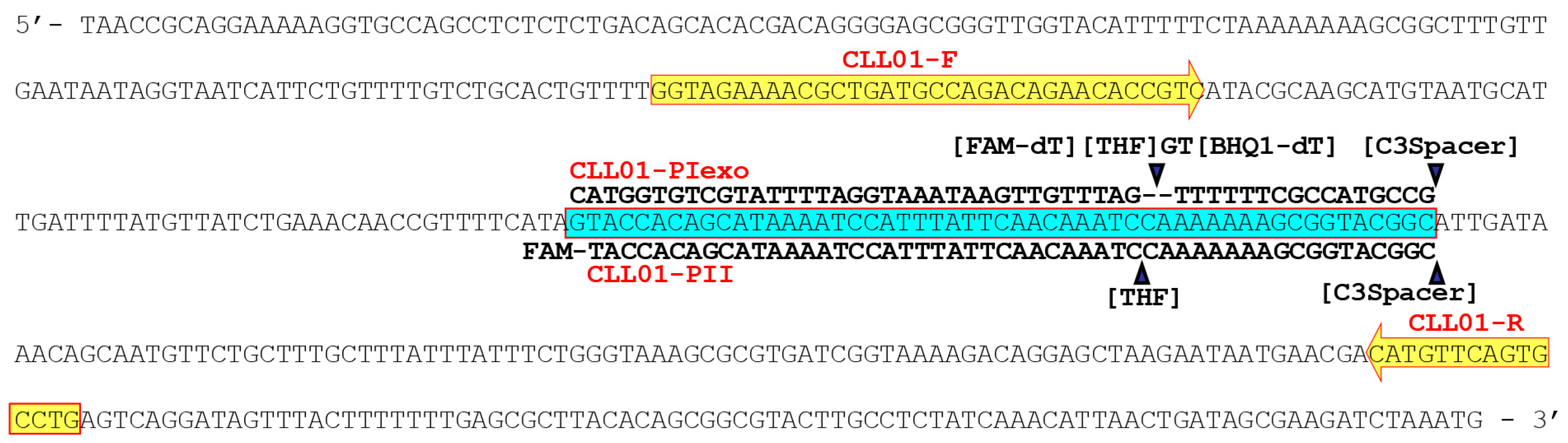 Agriculture 13 01982 g001