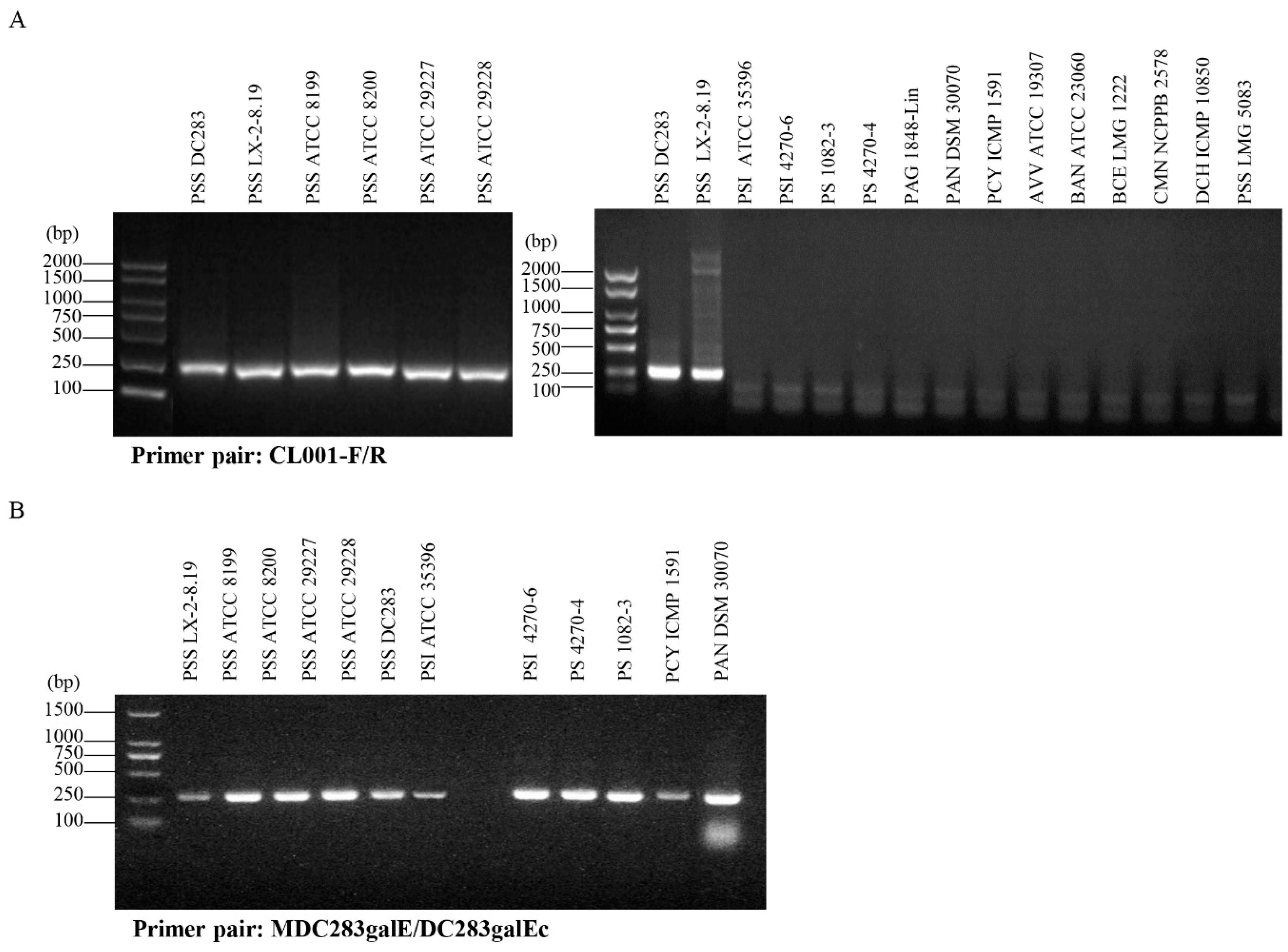 Agriculture 13 01982 g002