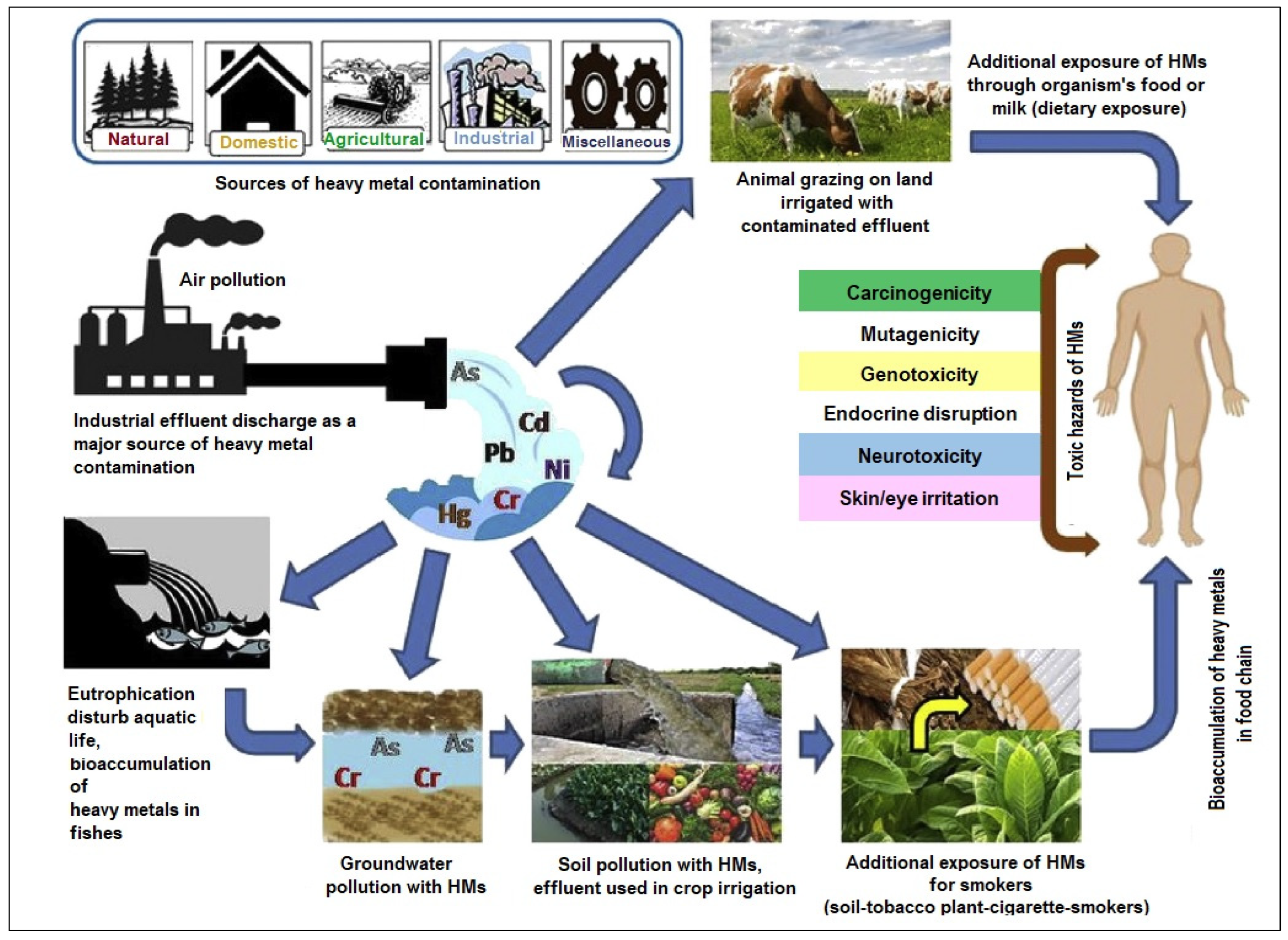 Agriculture 13 01983 g001