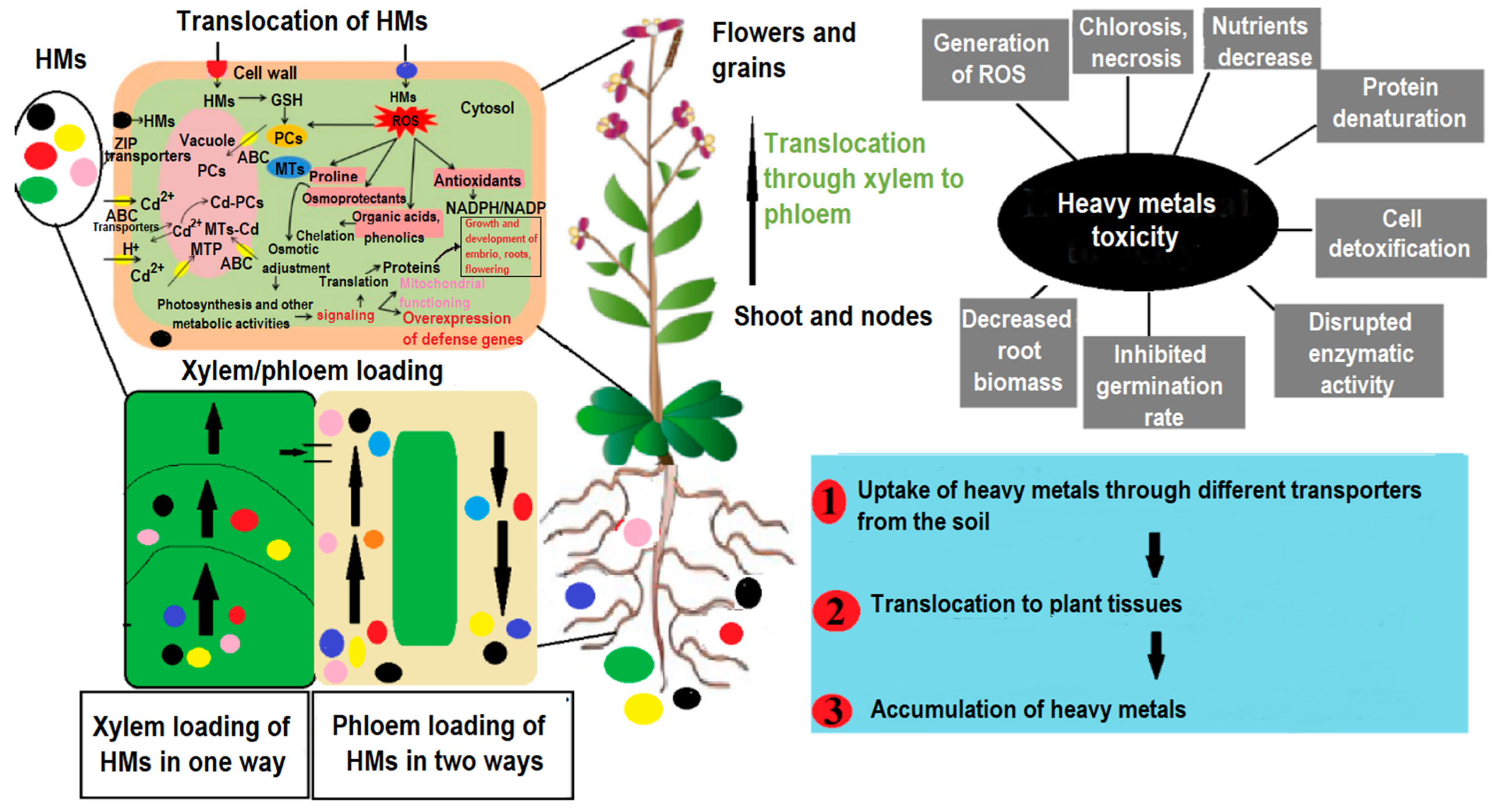 Agriculture 13 01983 g002