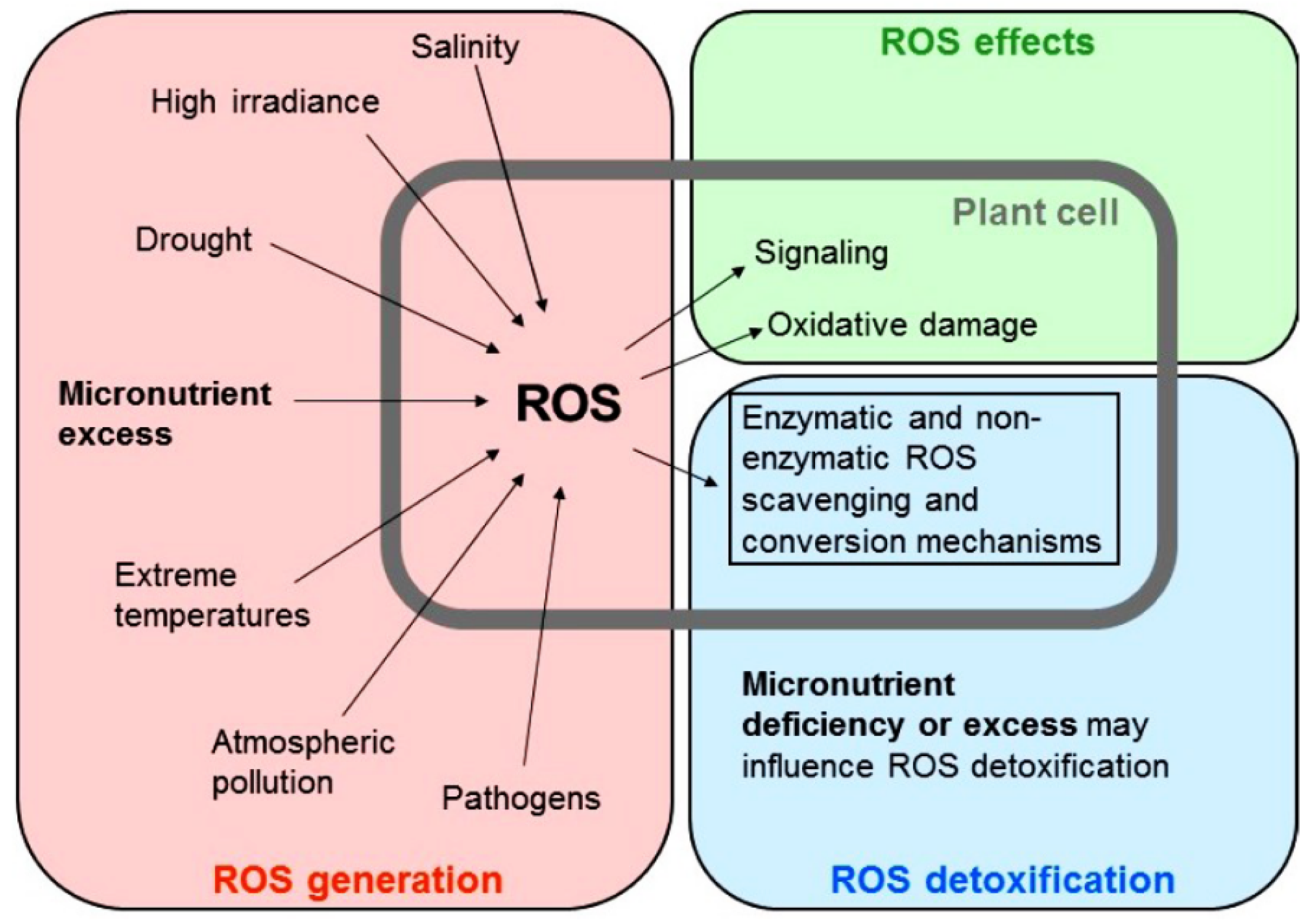 Agriculture 13 01983 g004