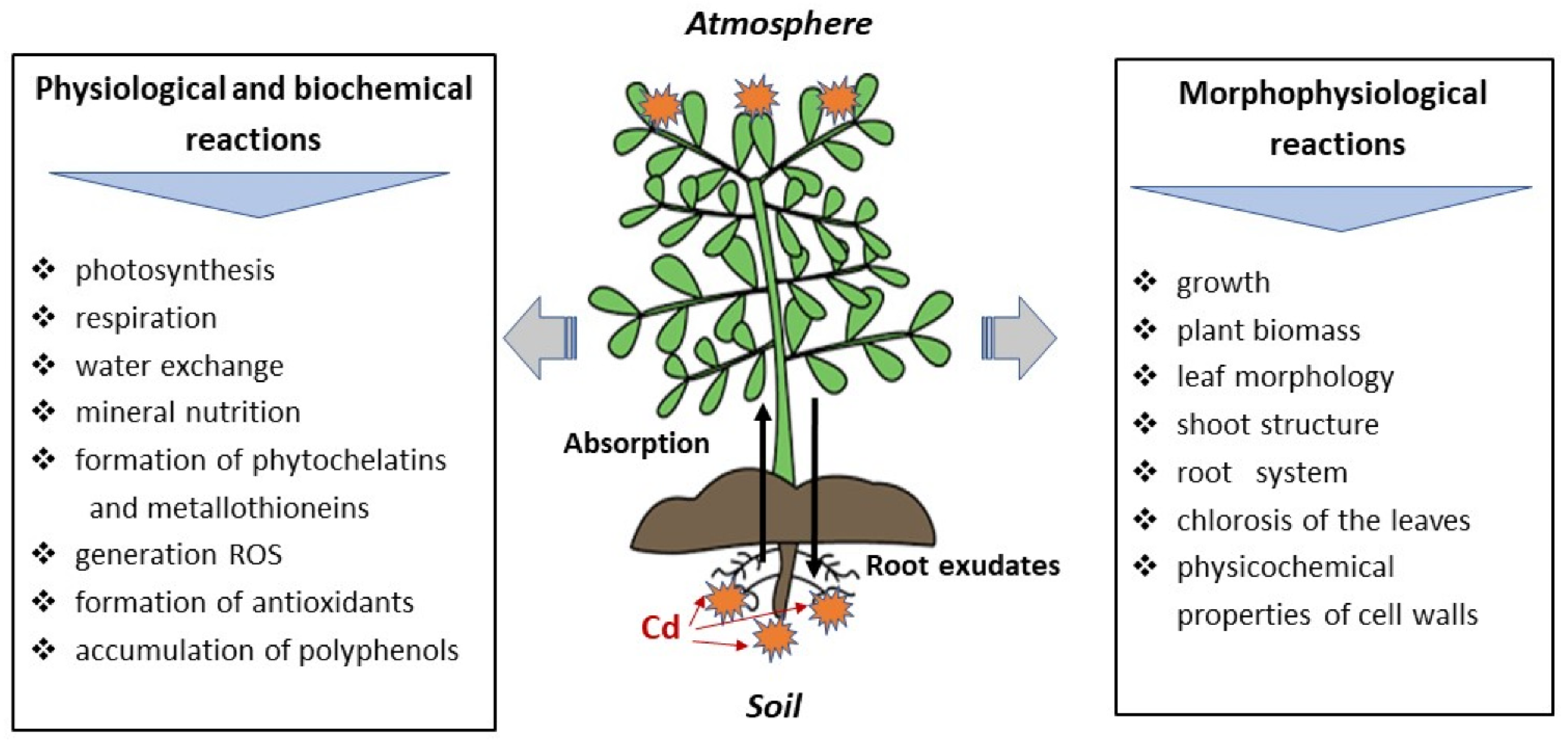 Agriculture 13 01983 g005