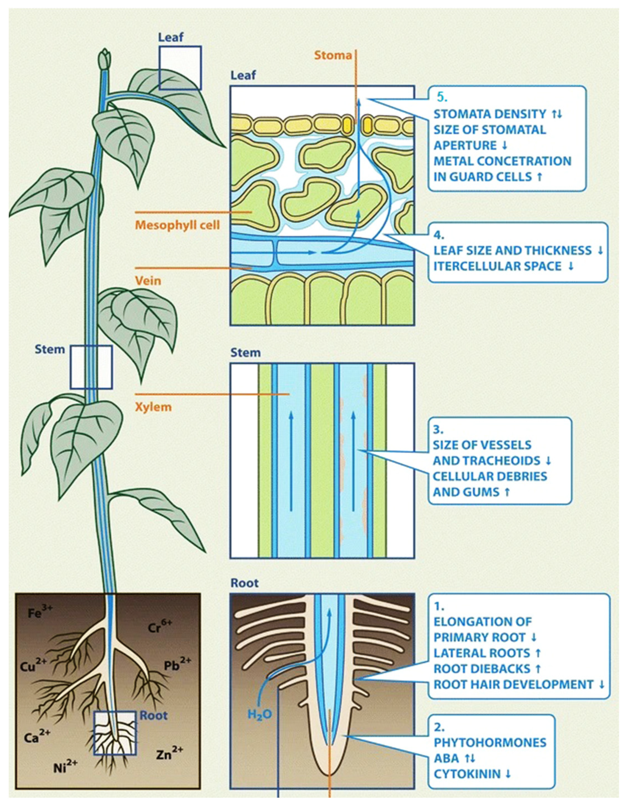 Agriculture 13 01983 g006