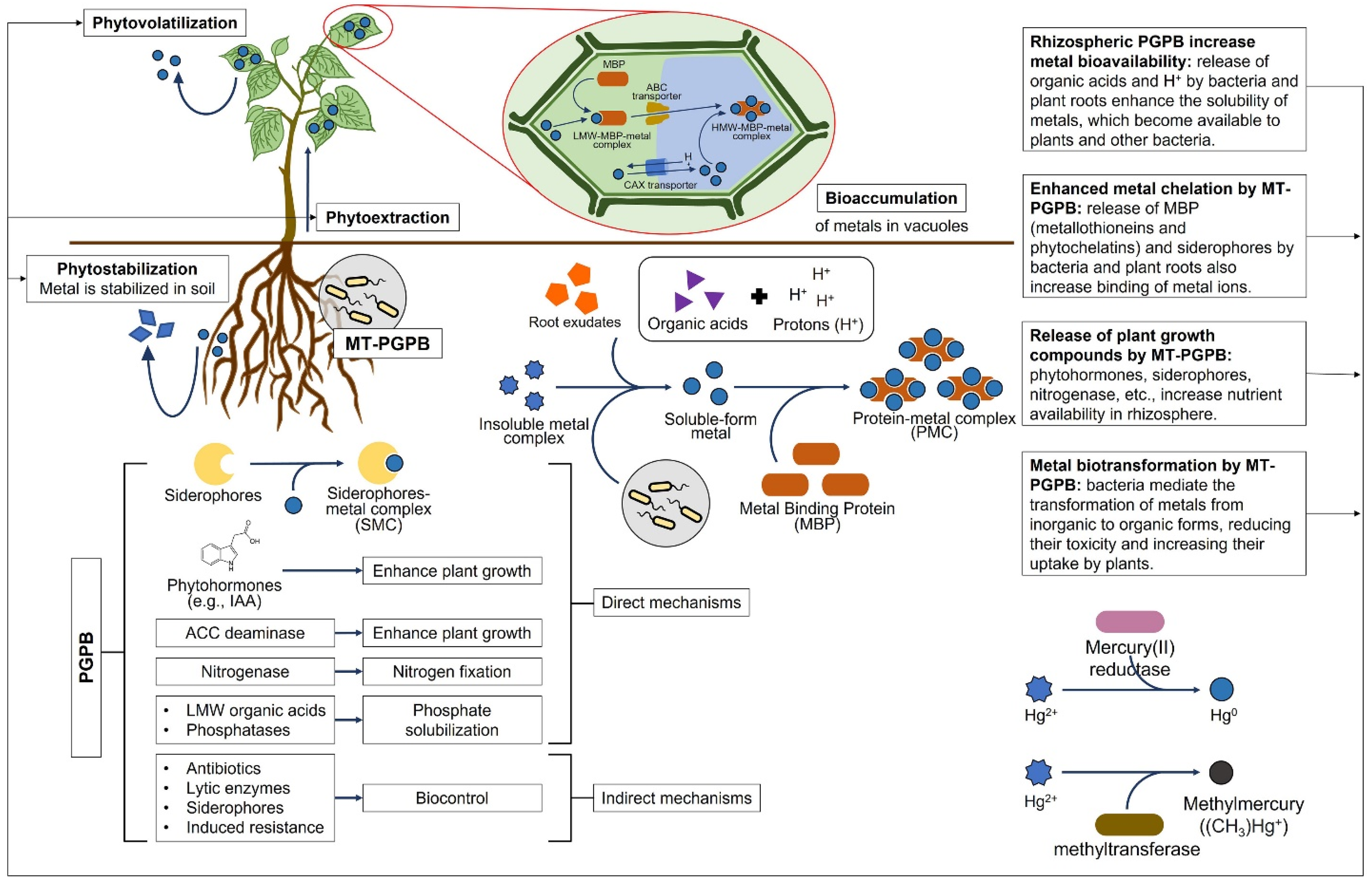 Agriculture 13 01983 g009