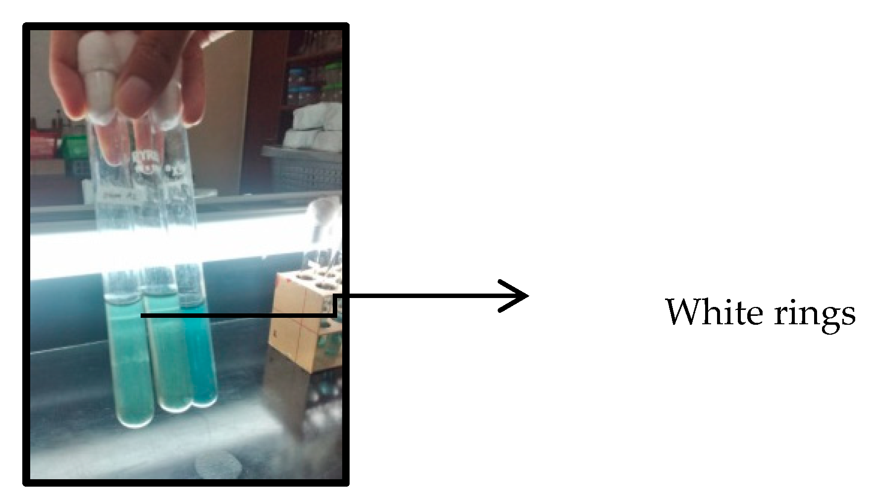 Agriculture 13 01987 g001