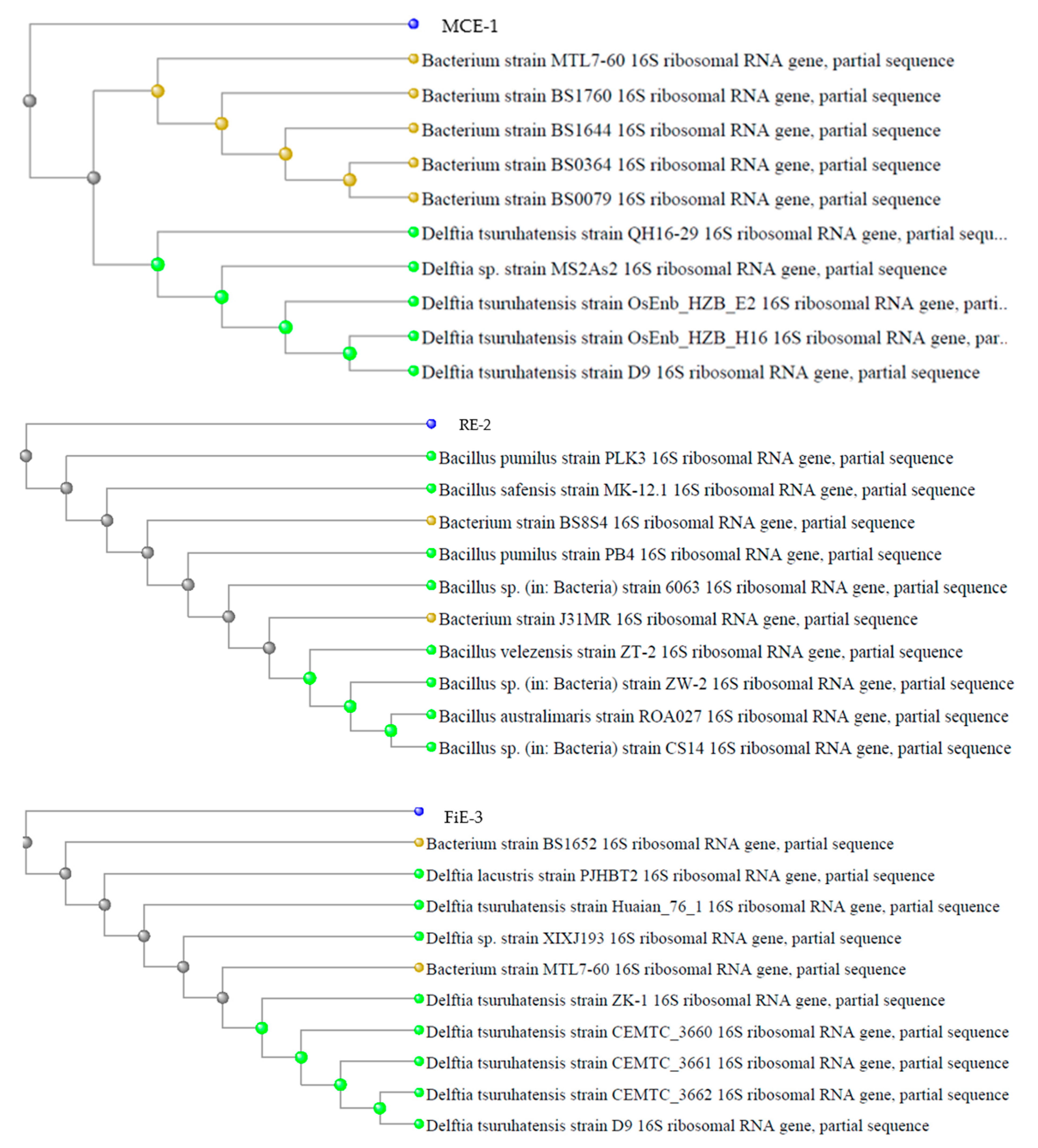 Agriculture 13 01987 g002