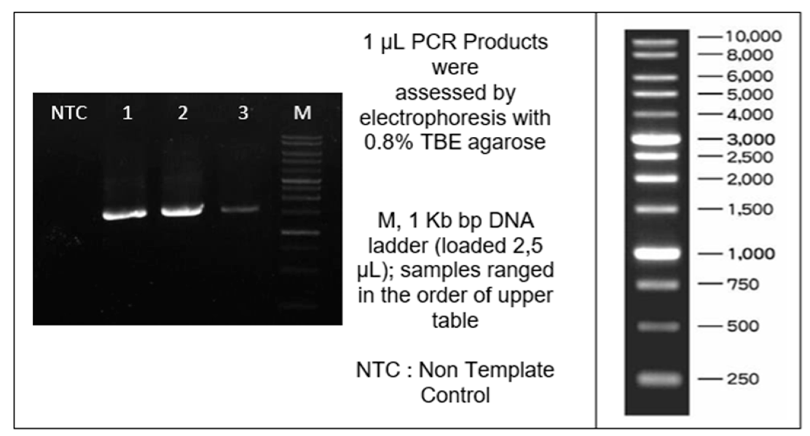 Agriculture 13 01987 g003