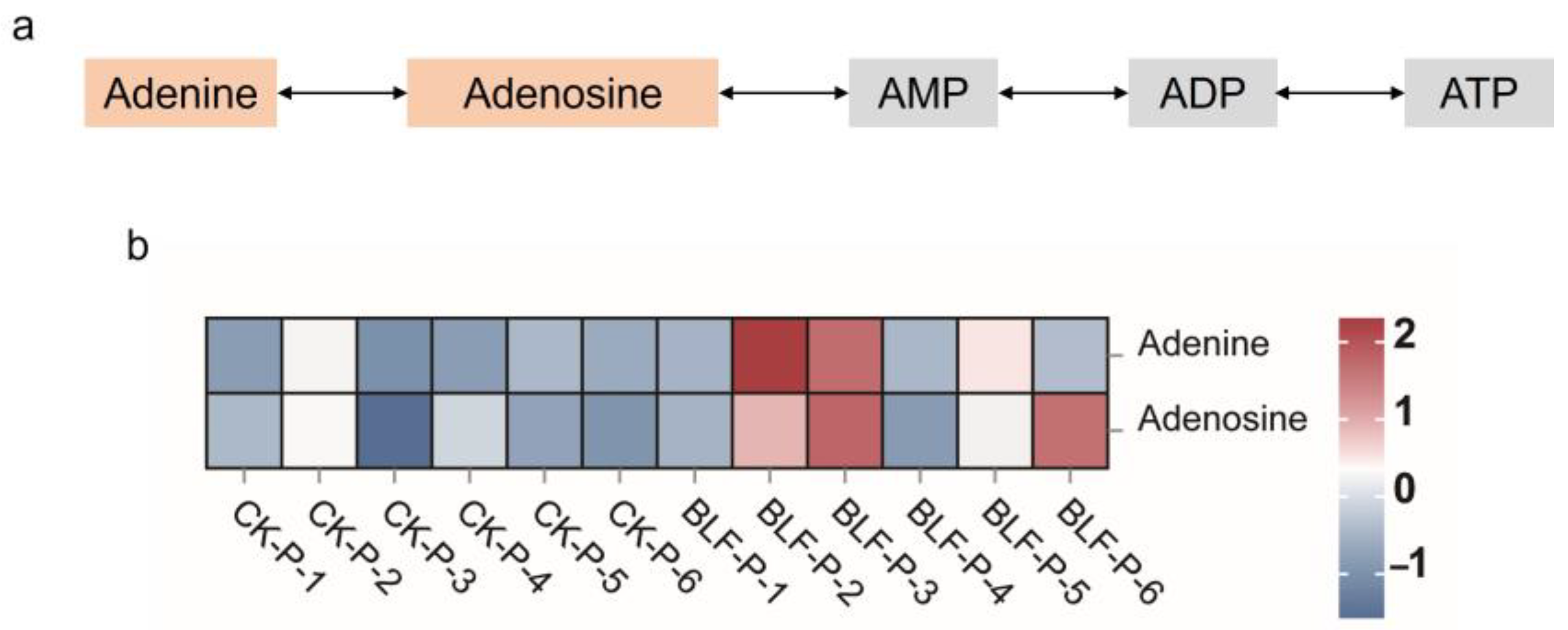 Agriculture 13 02014 g010