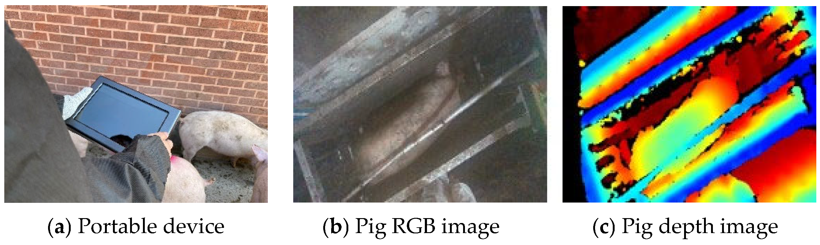 Agriculture 13 02027 g001