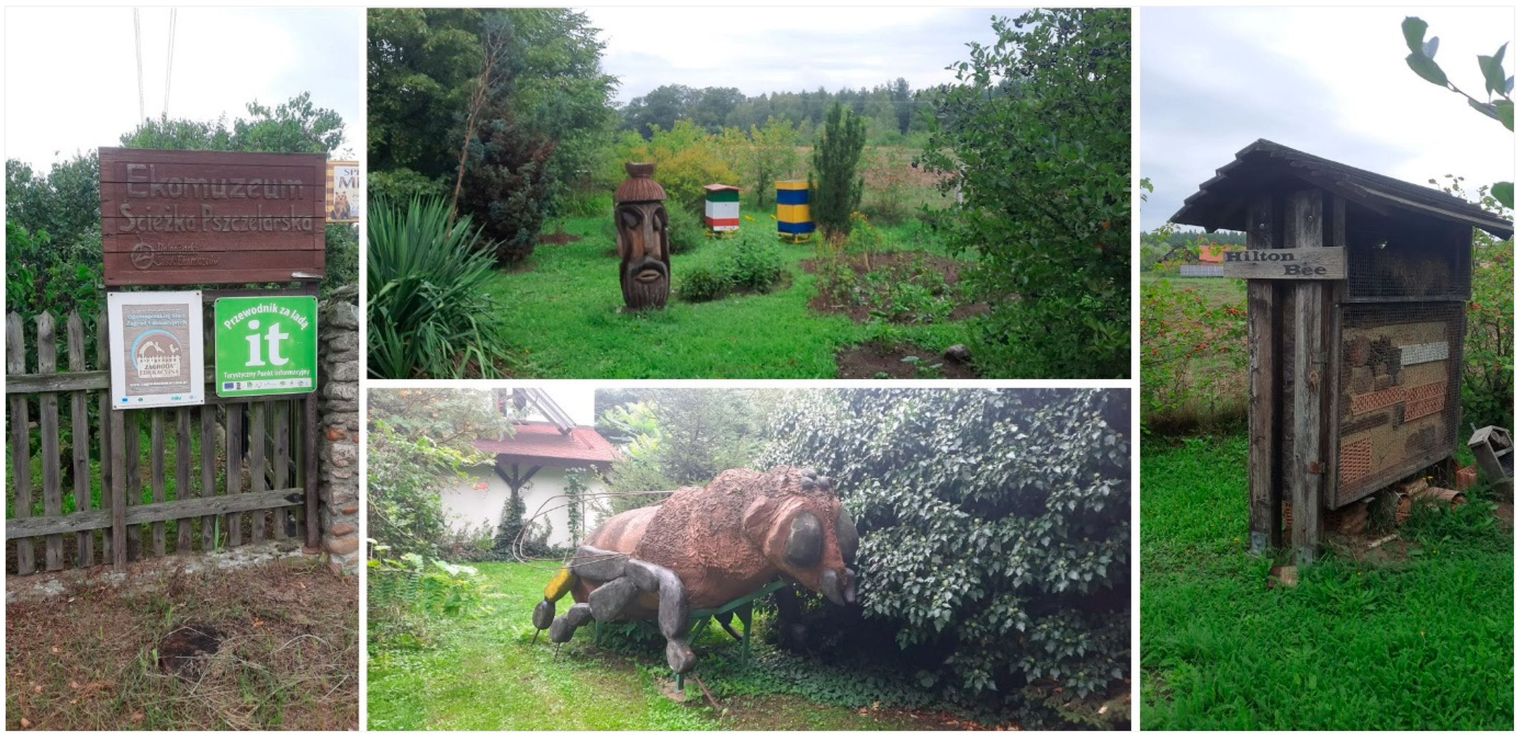 Agriculture 13 02028 g002