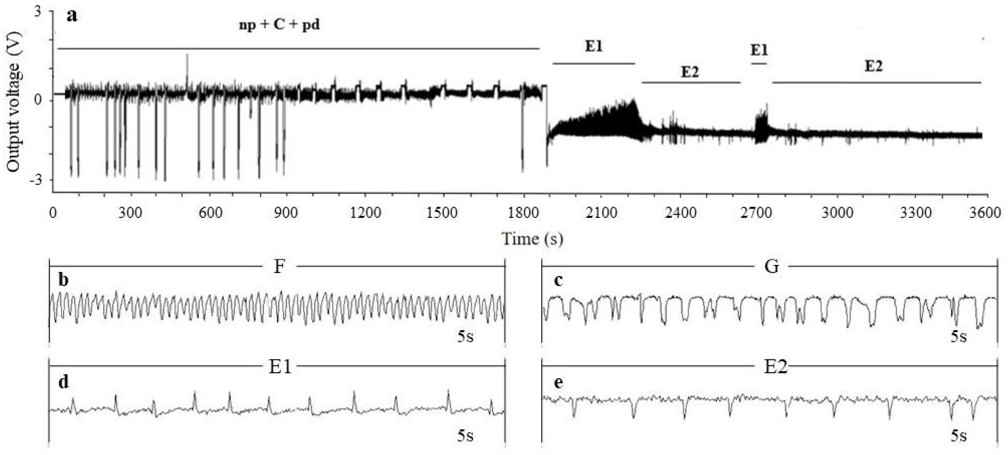 Agriculture 13 02039 g001