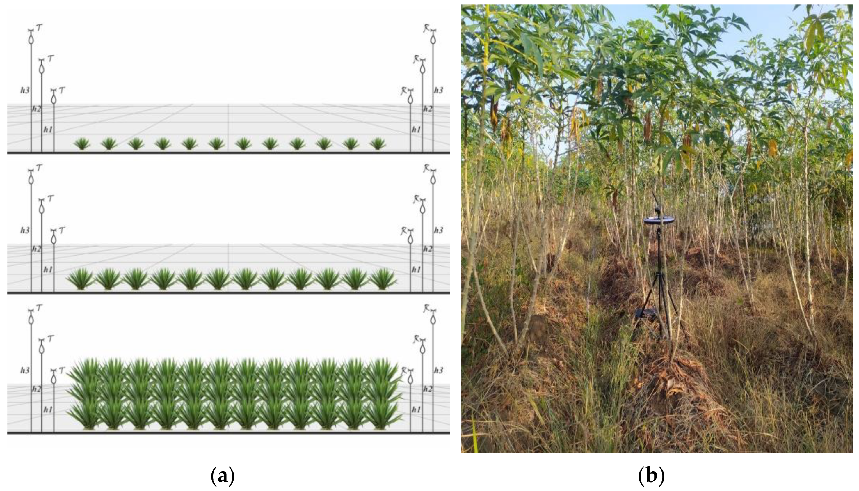 Agriculture 13 02046 g003