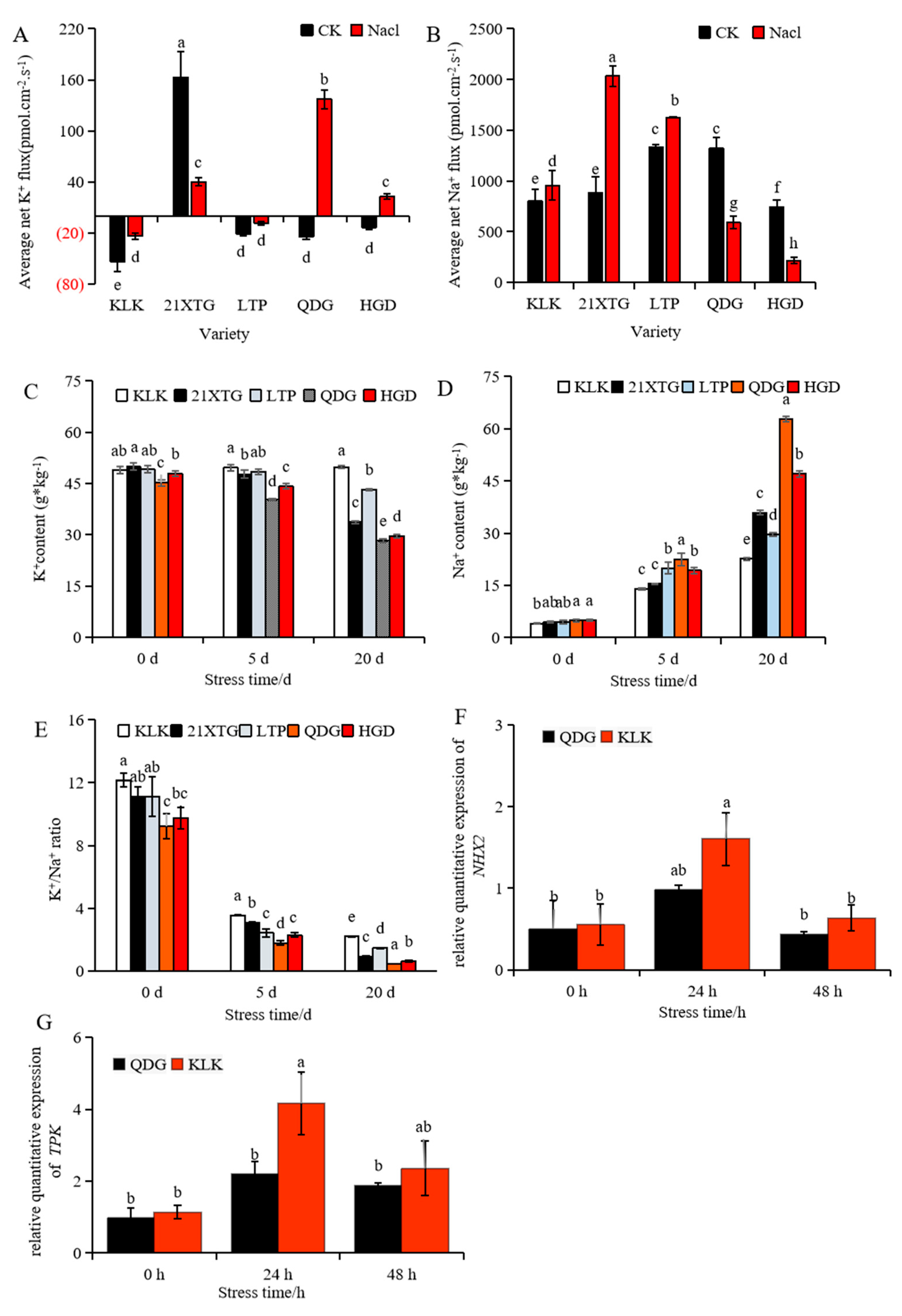 Agriculture 13 02051 g003