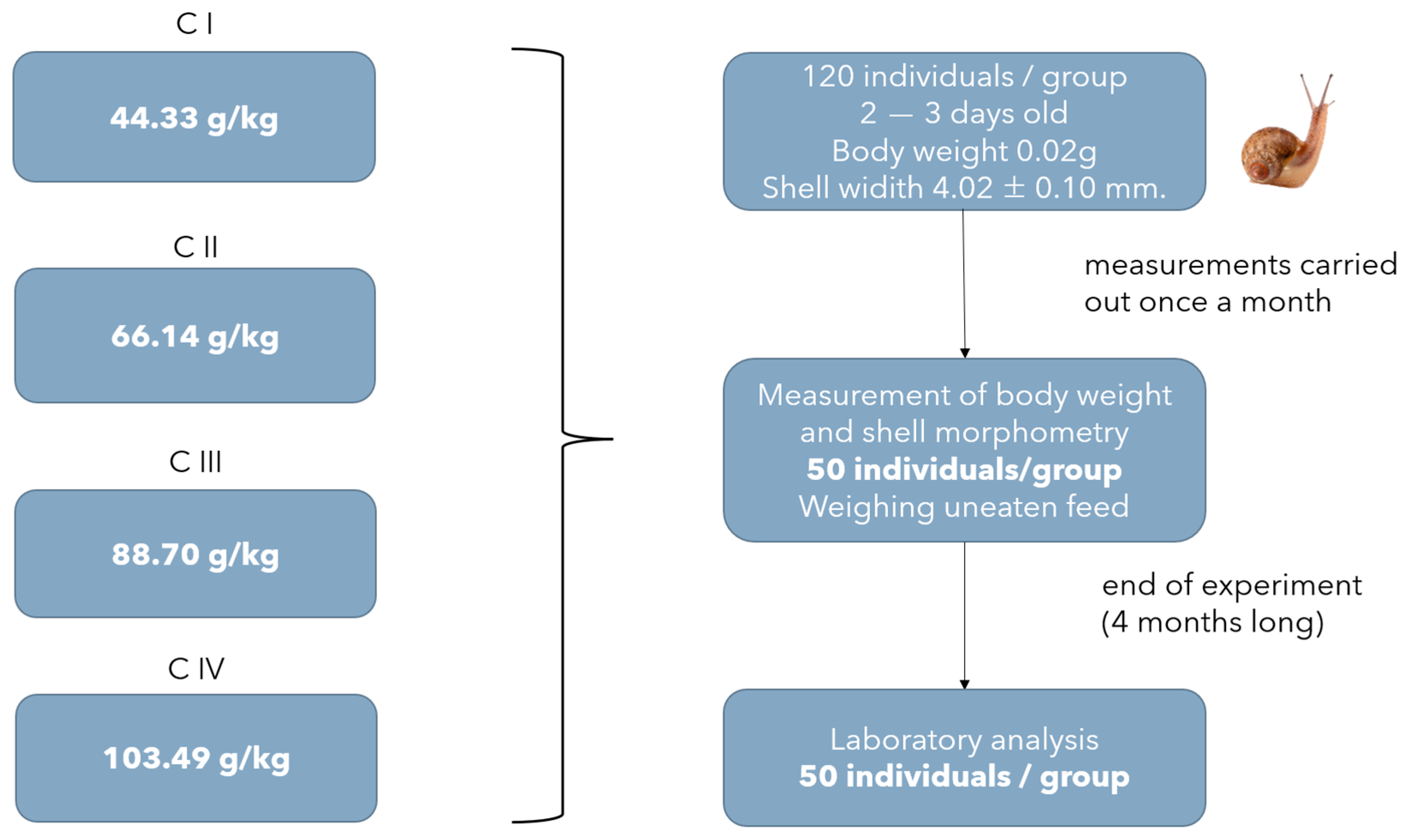 Agriculture 13 02055 g002 Agriculture 13 02055 g002