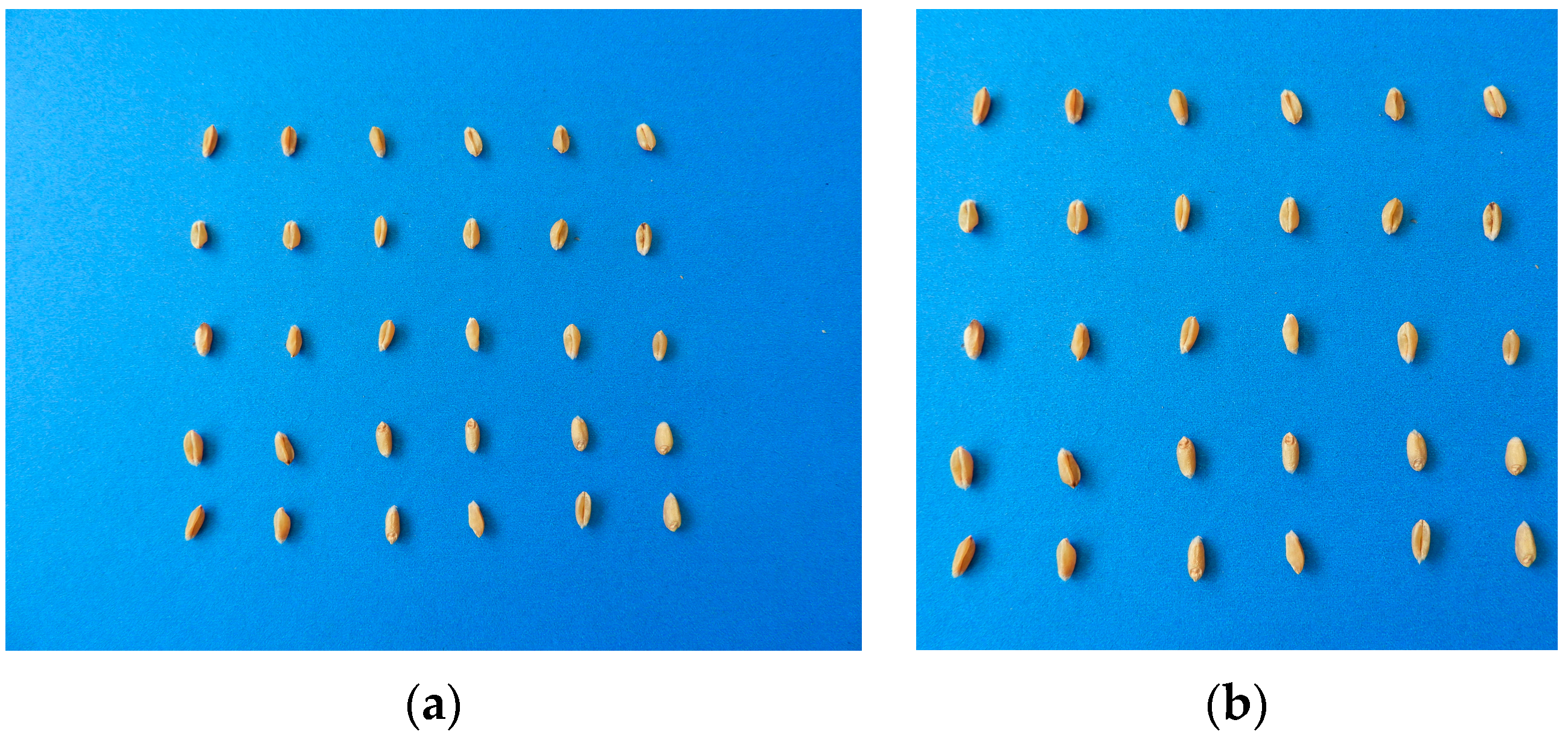 Agriculture 13 02056 g001