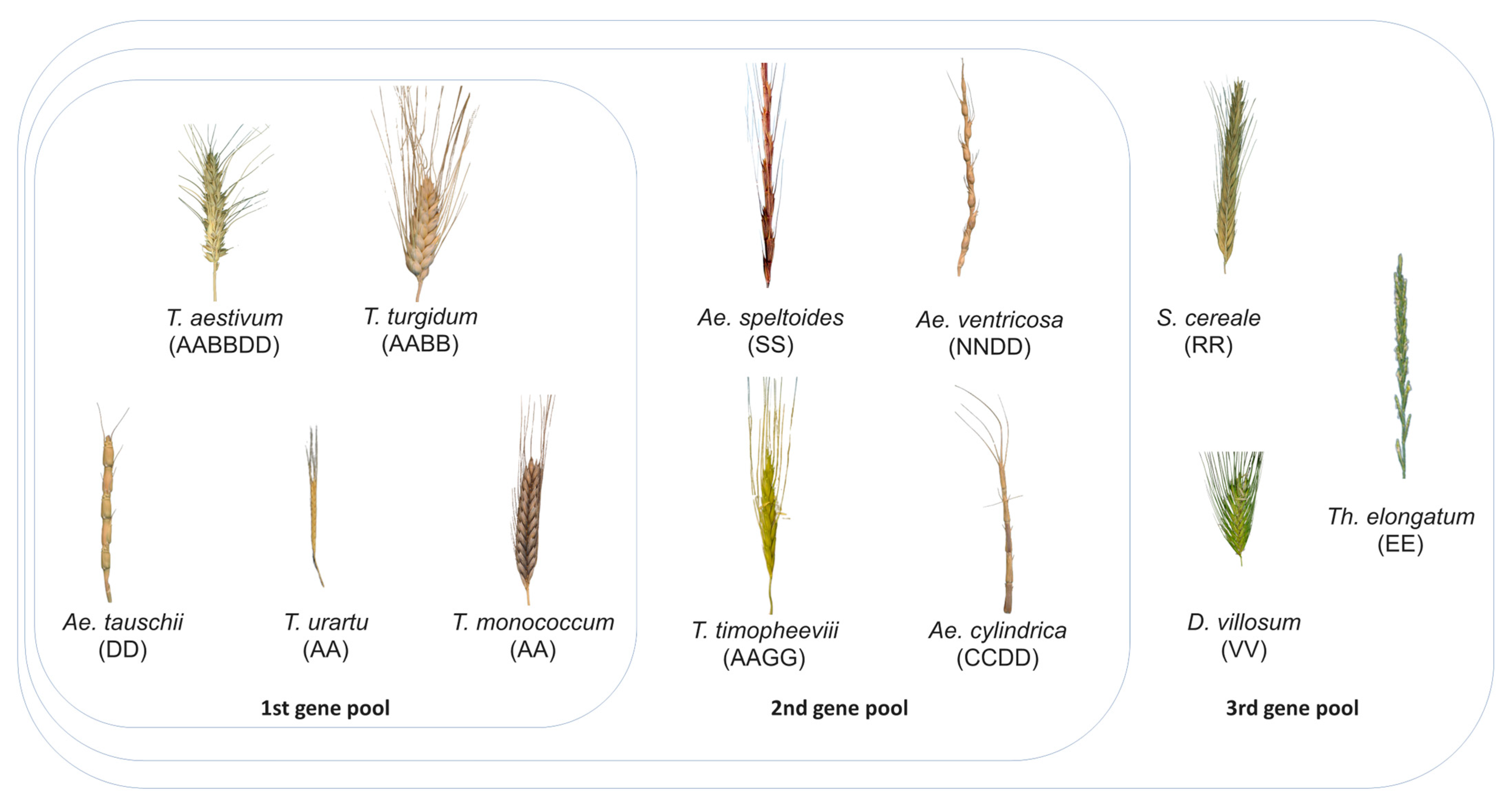 Agriculture 13 02060 g001