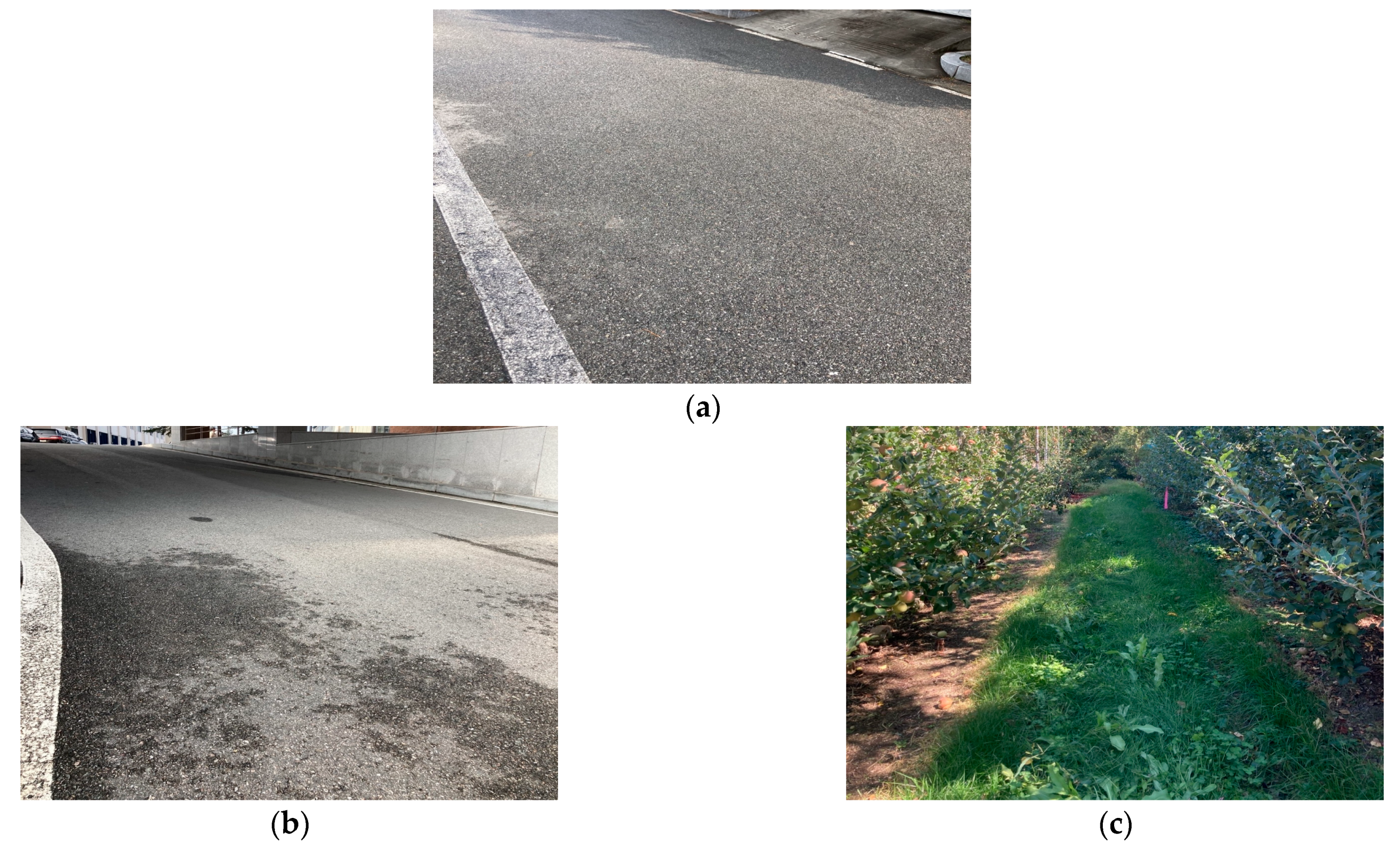 Agriculture 13 02064 g006 Agriculture 13 02064 g006