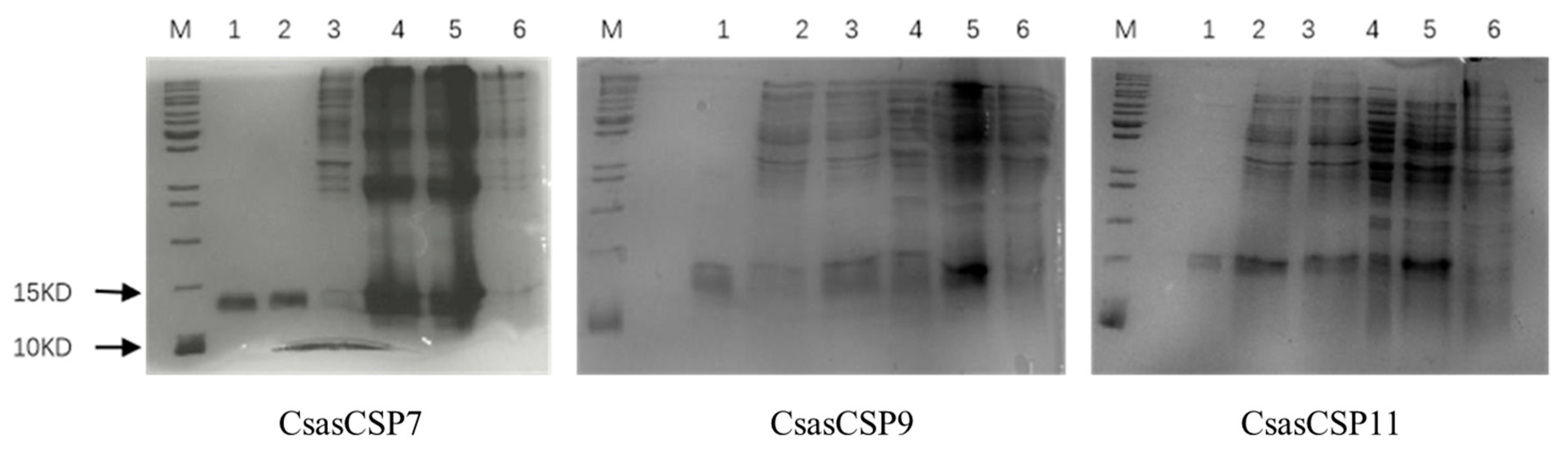 Agriculture 13 02066 g004