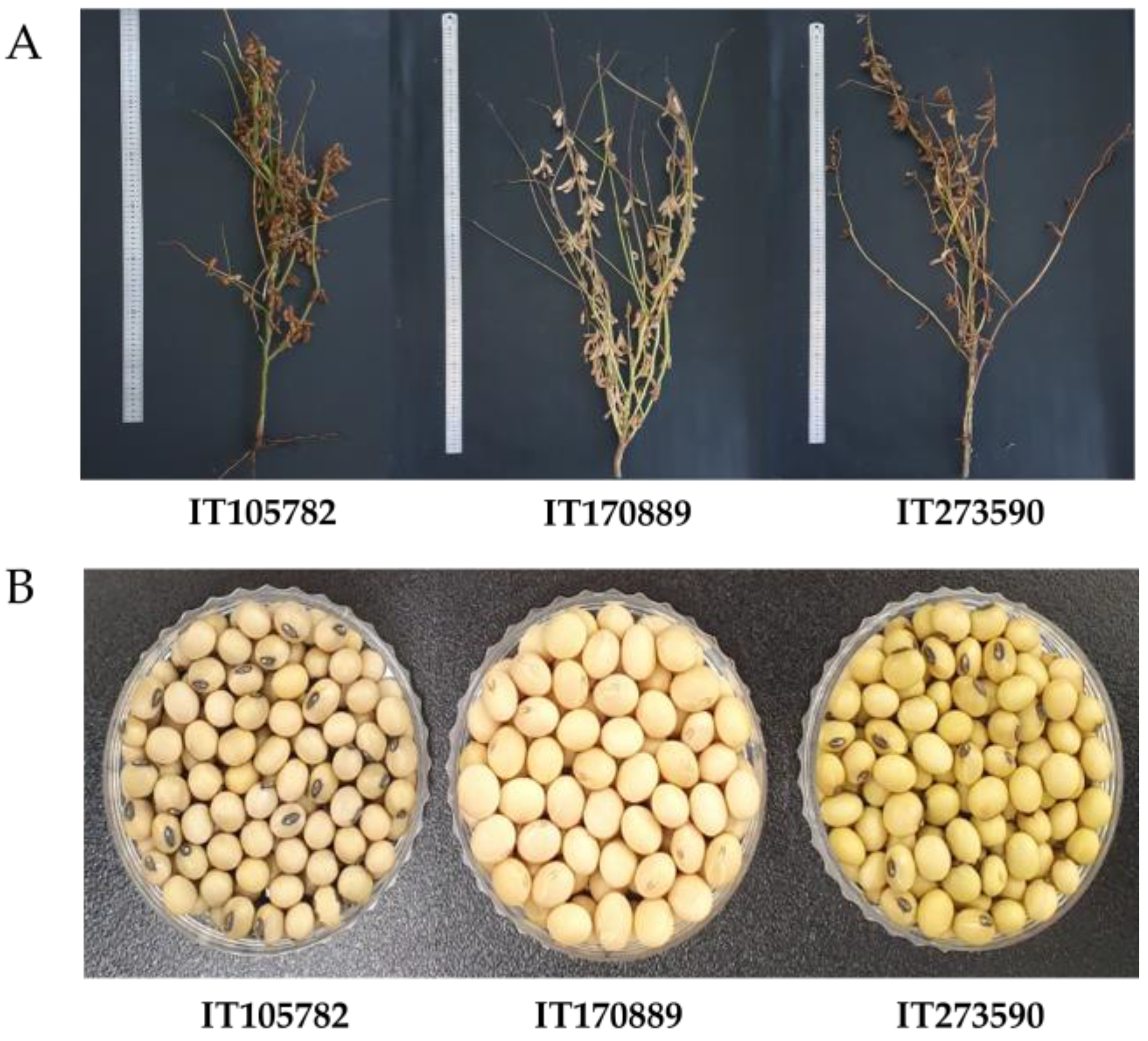 Agriculture 13 02070 g006