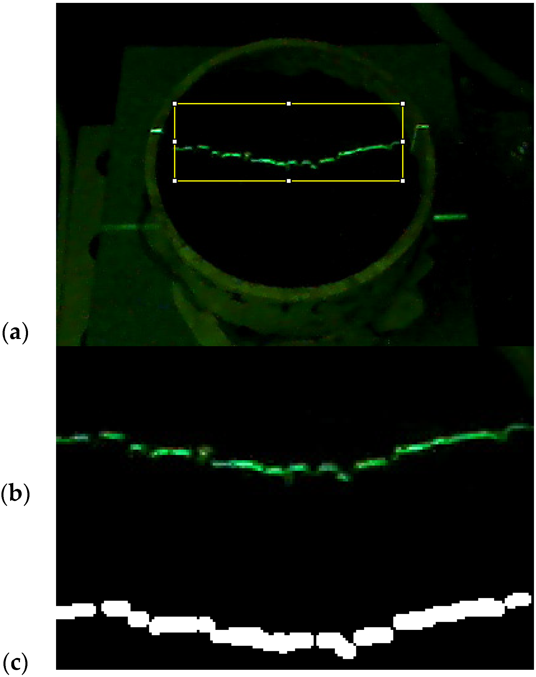 Agriculture 13 02077 g004