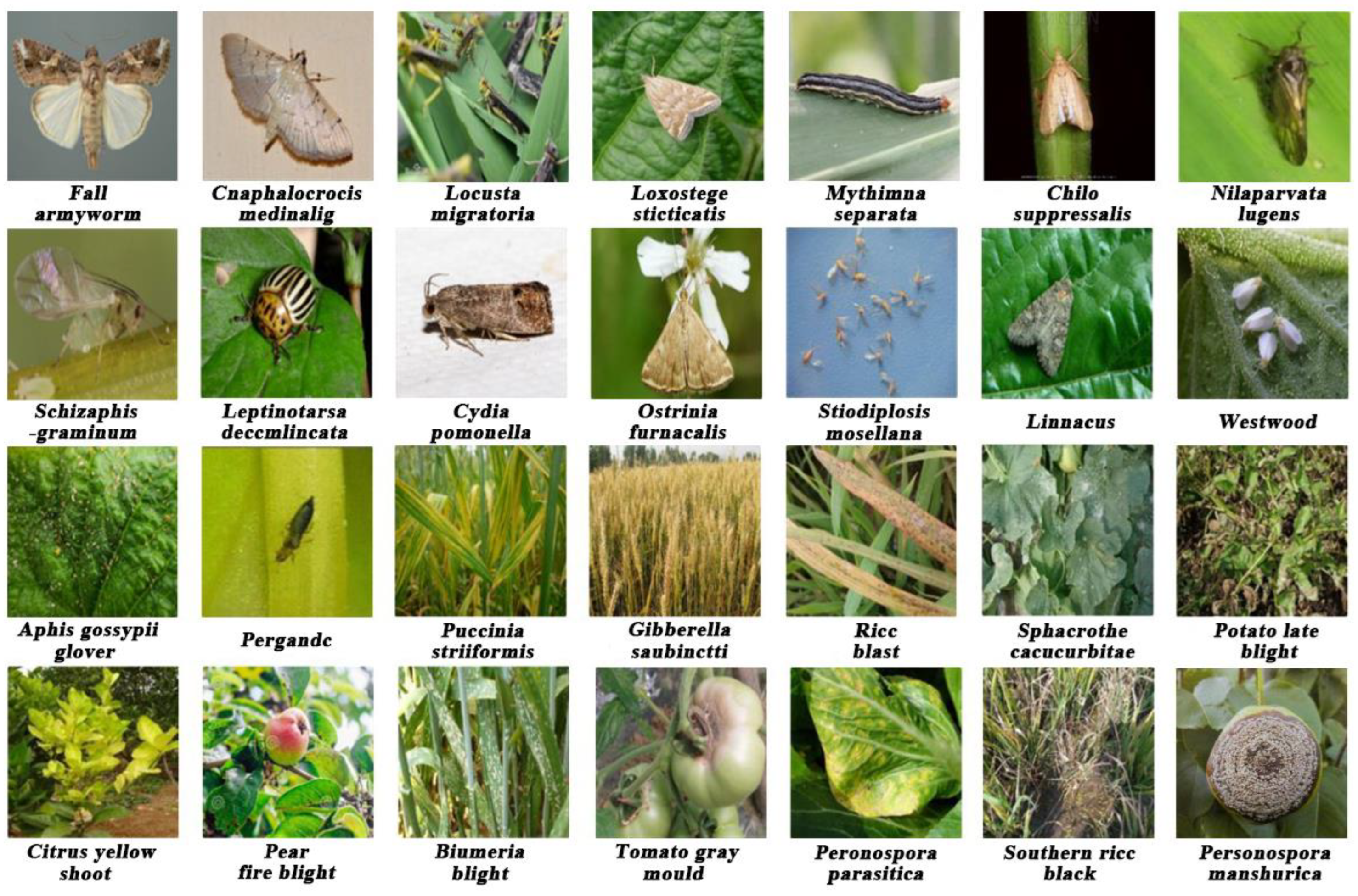 Agriculture 13 02080 g006