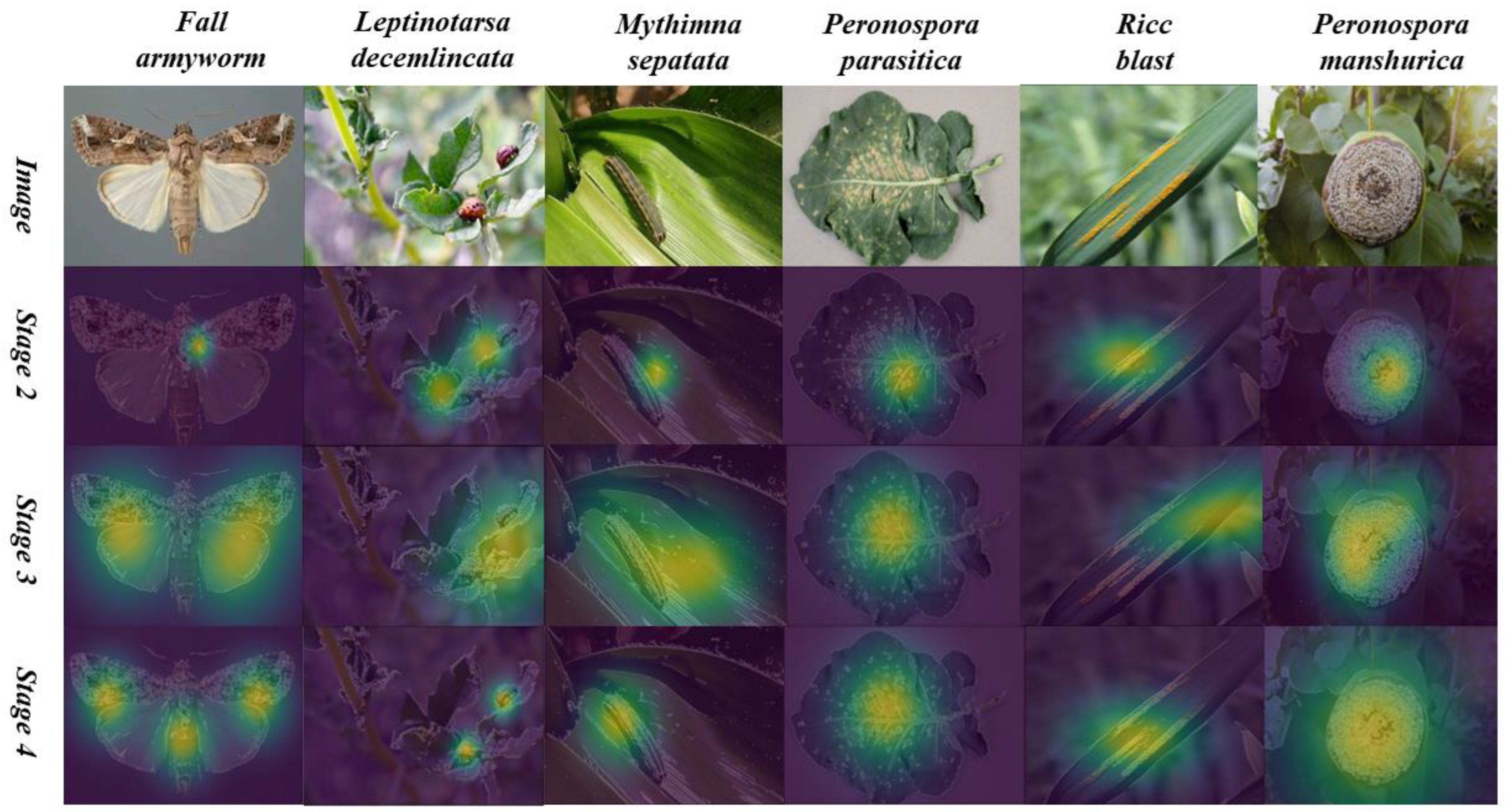 Agriculture 13 02080 g011