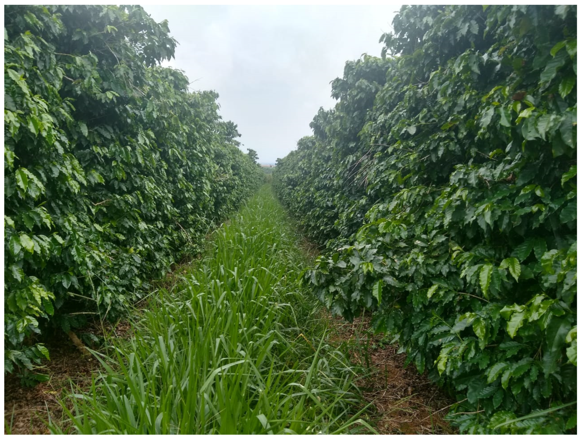 Agriculture 13 02083 g002