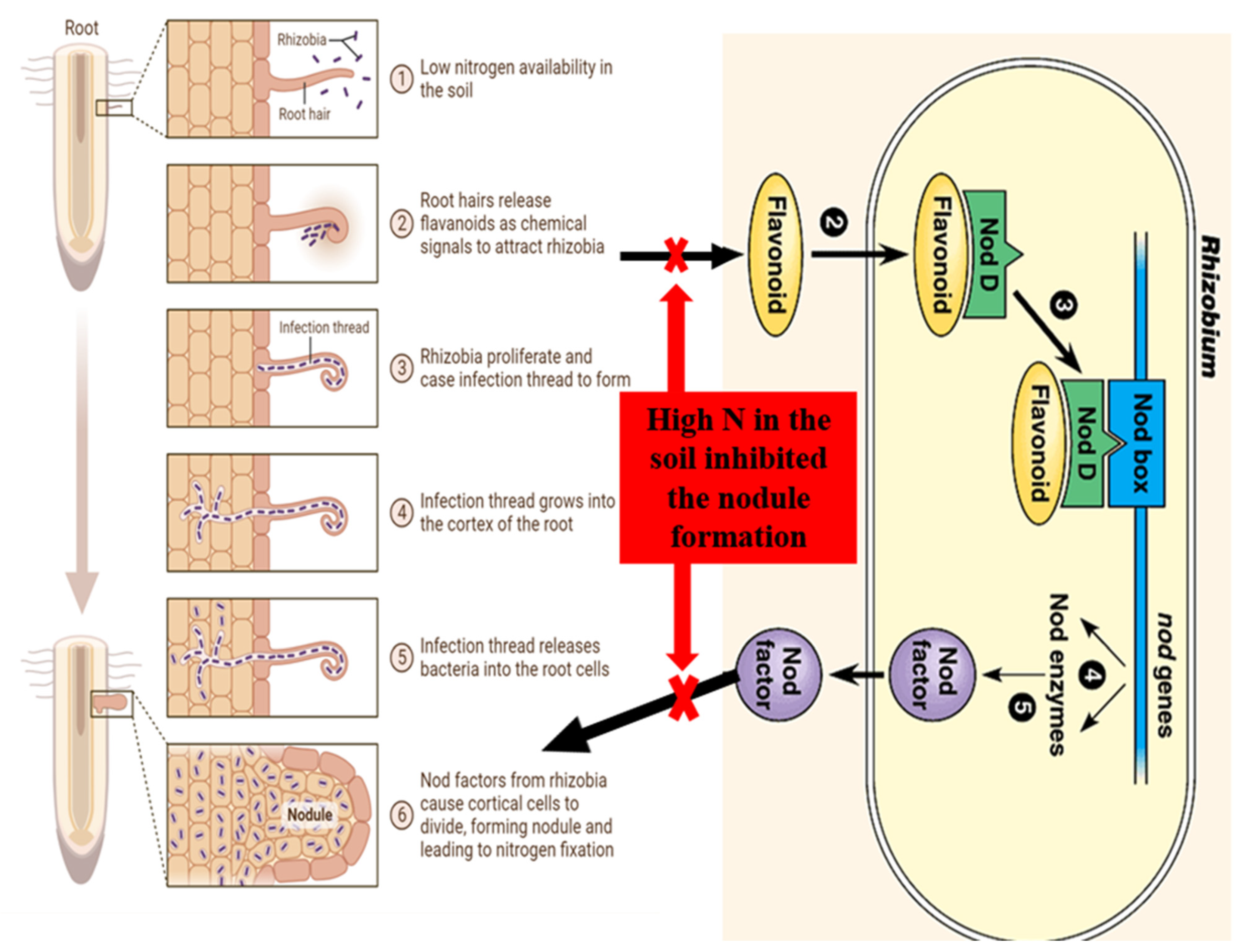Agriculture 13 02092 g003 Agriculture 13 02092 g003