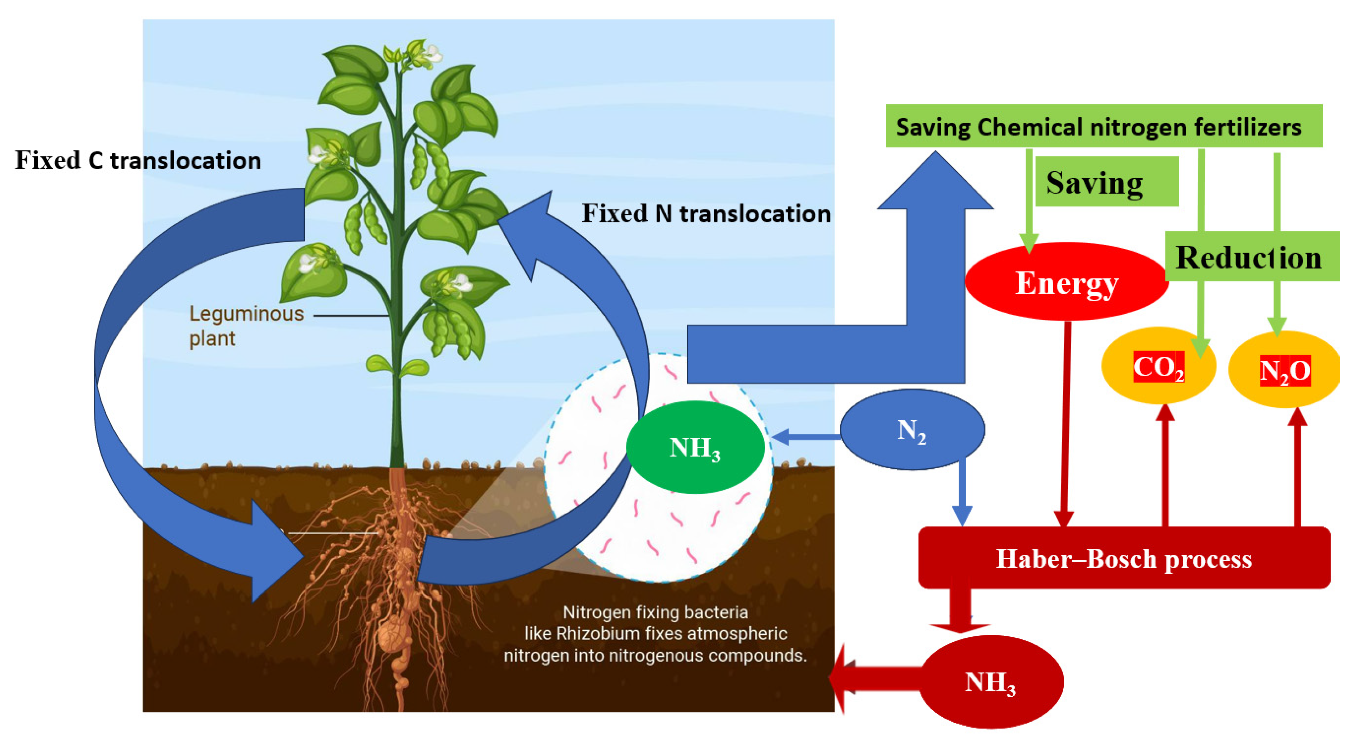 Agriculture 13 02092 g004 Agriculture 13 02092 g004