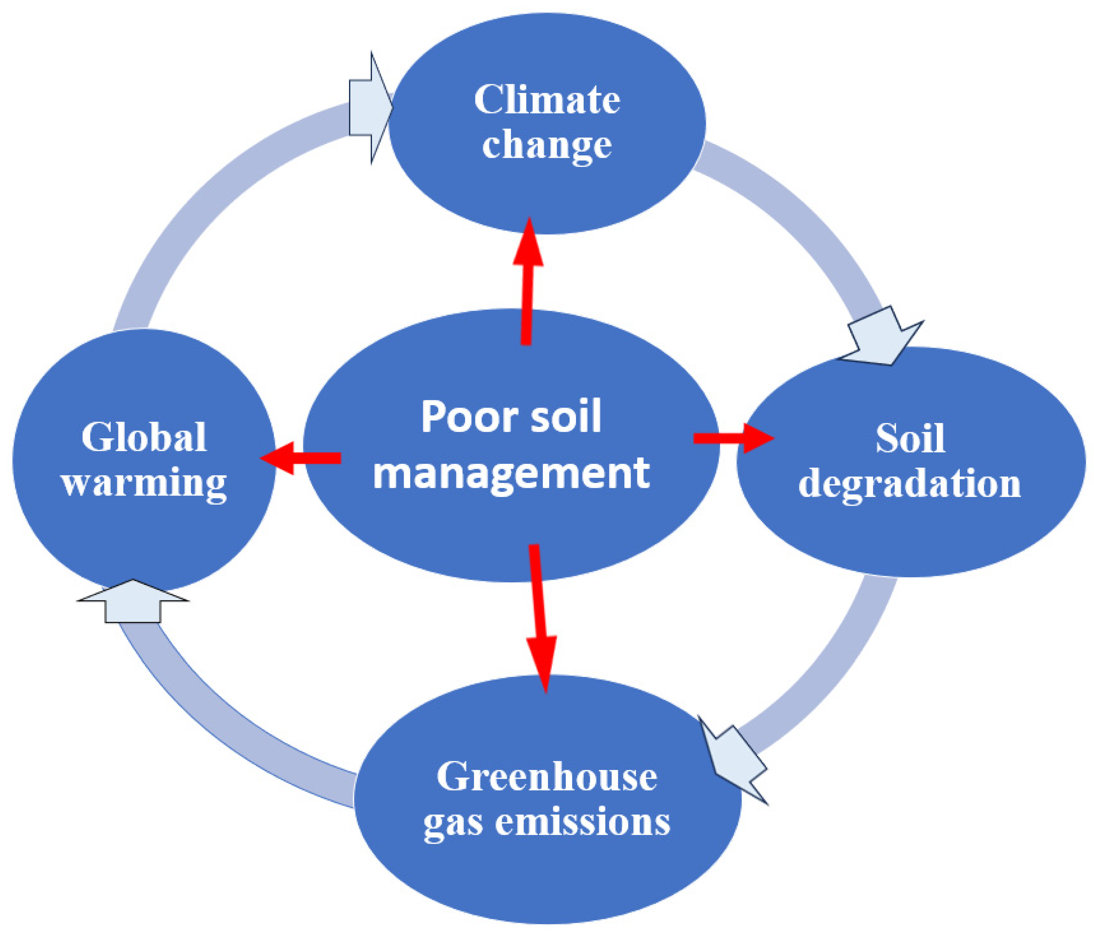 Agriculture 13 02092 g005 Agriculture 13 02092 g005