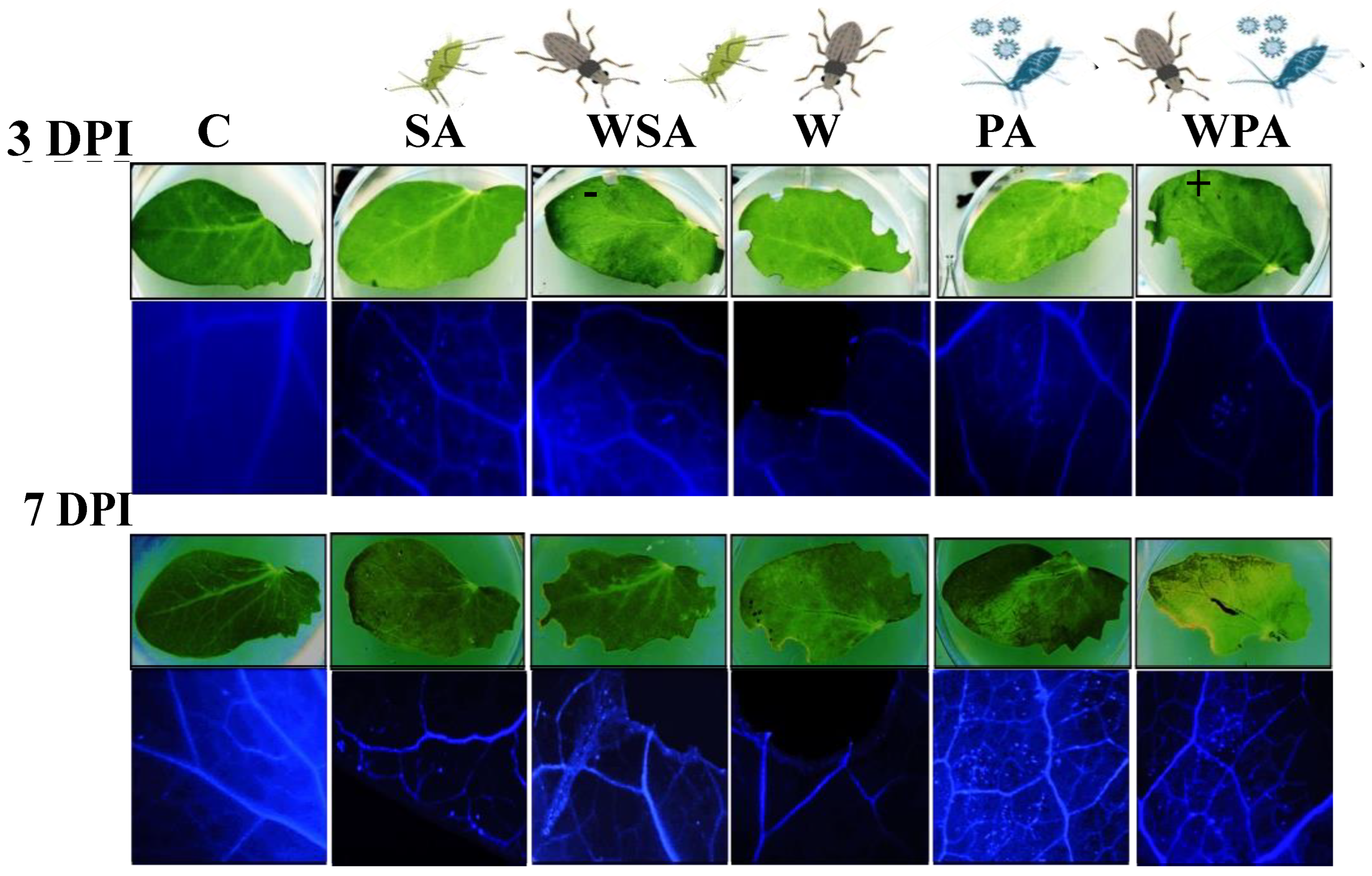 Agriculture 13 02093 g001