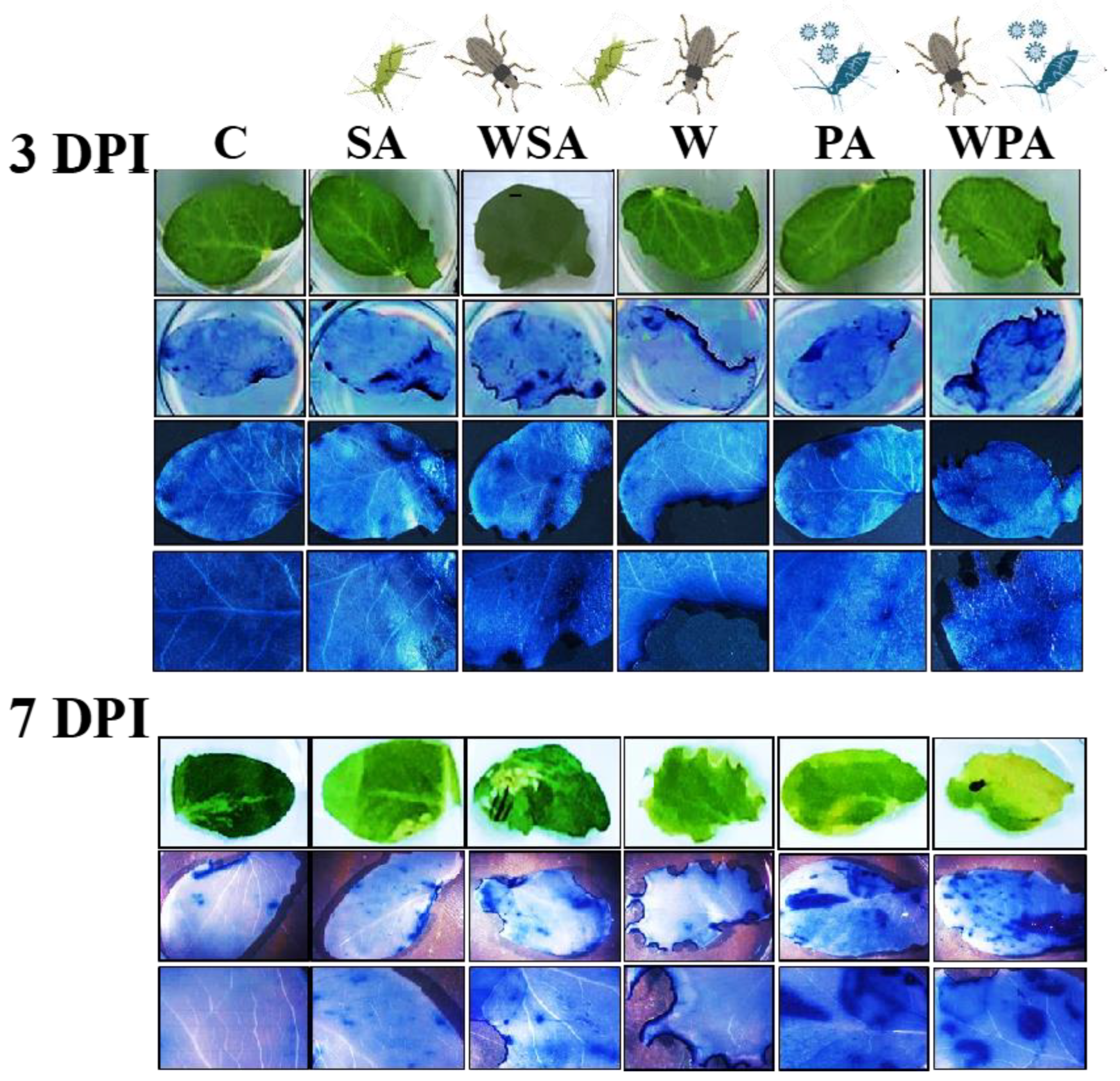 Agriculture 13 02093 g004