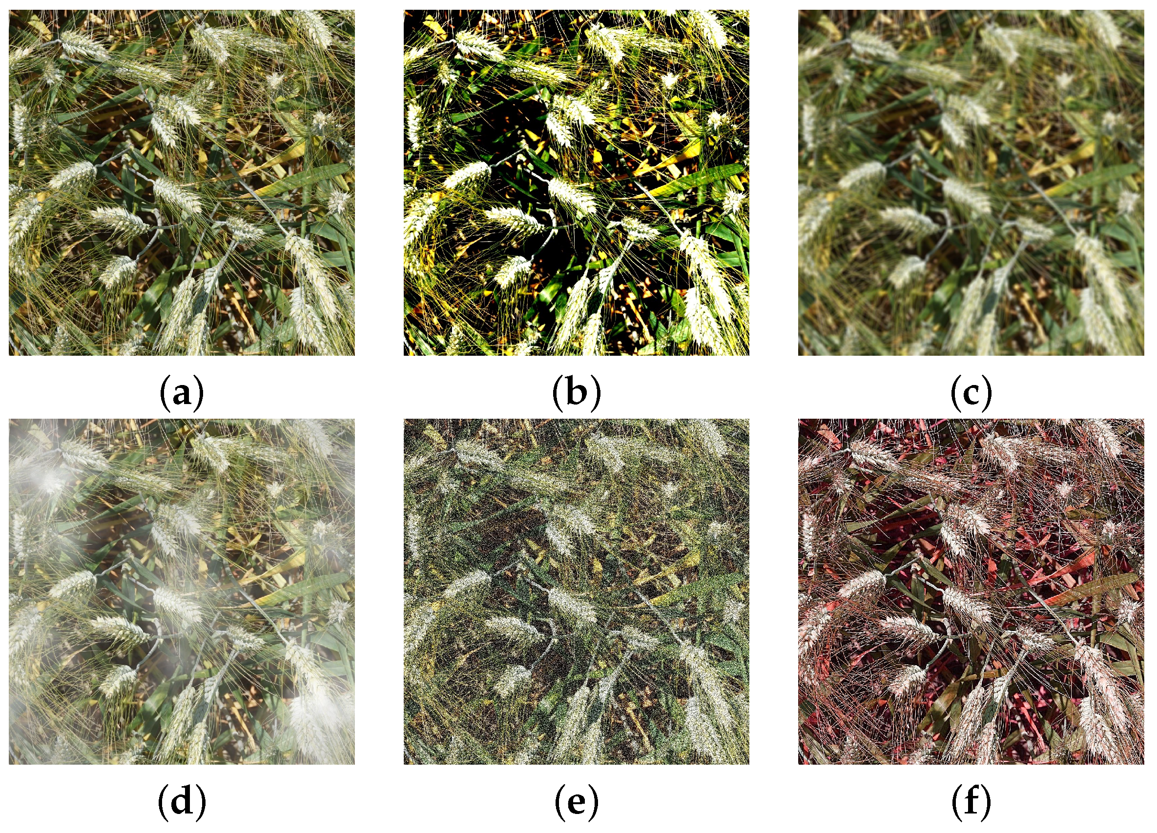 Agriculture 13 02110 g001