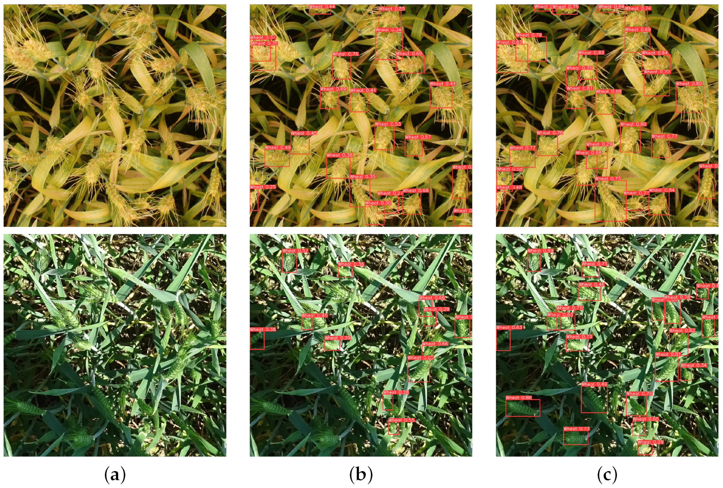 Agriculture 13 02110 g013