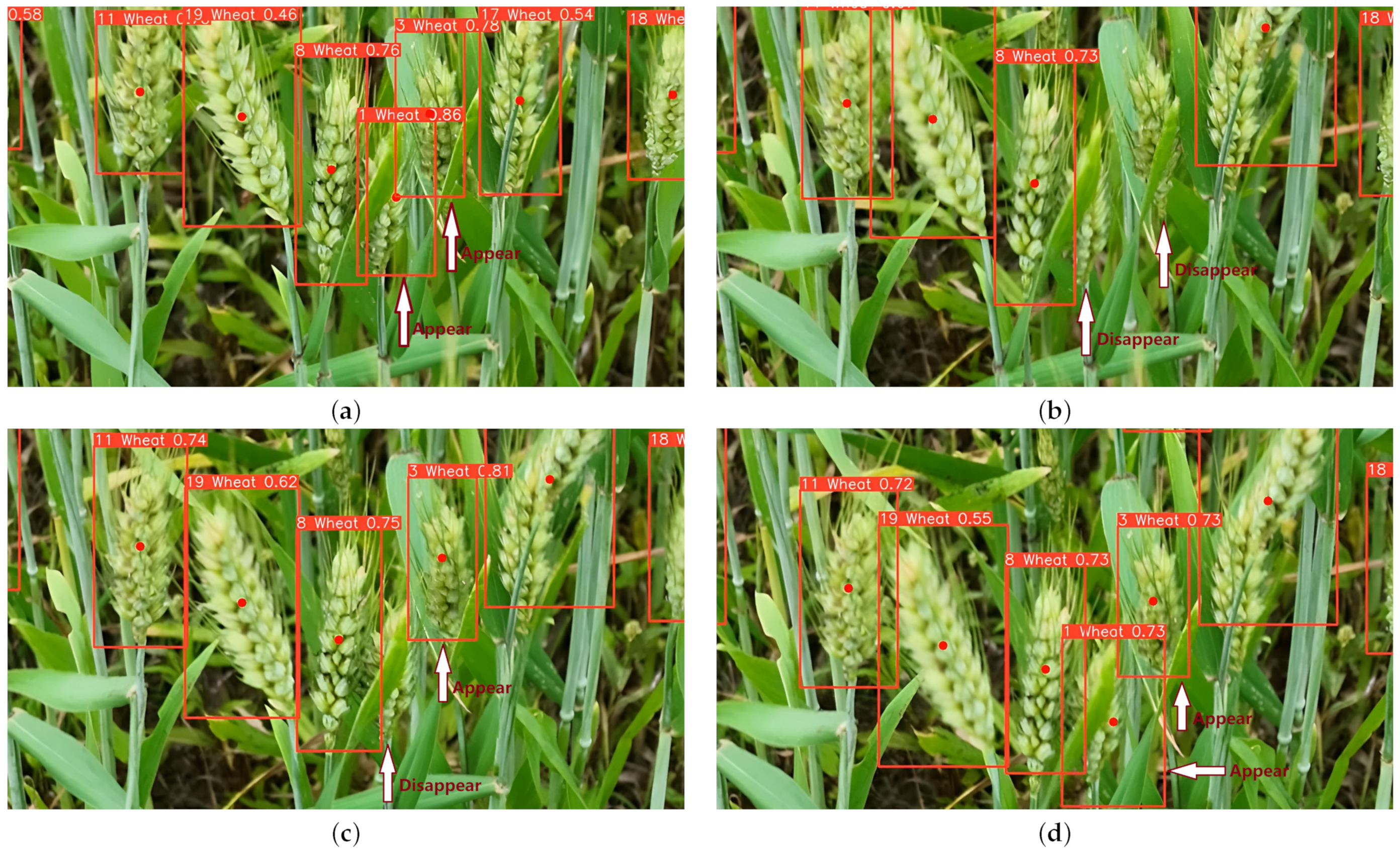 Agriculture 13 02110 g015