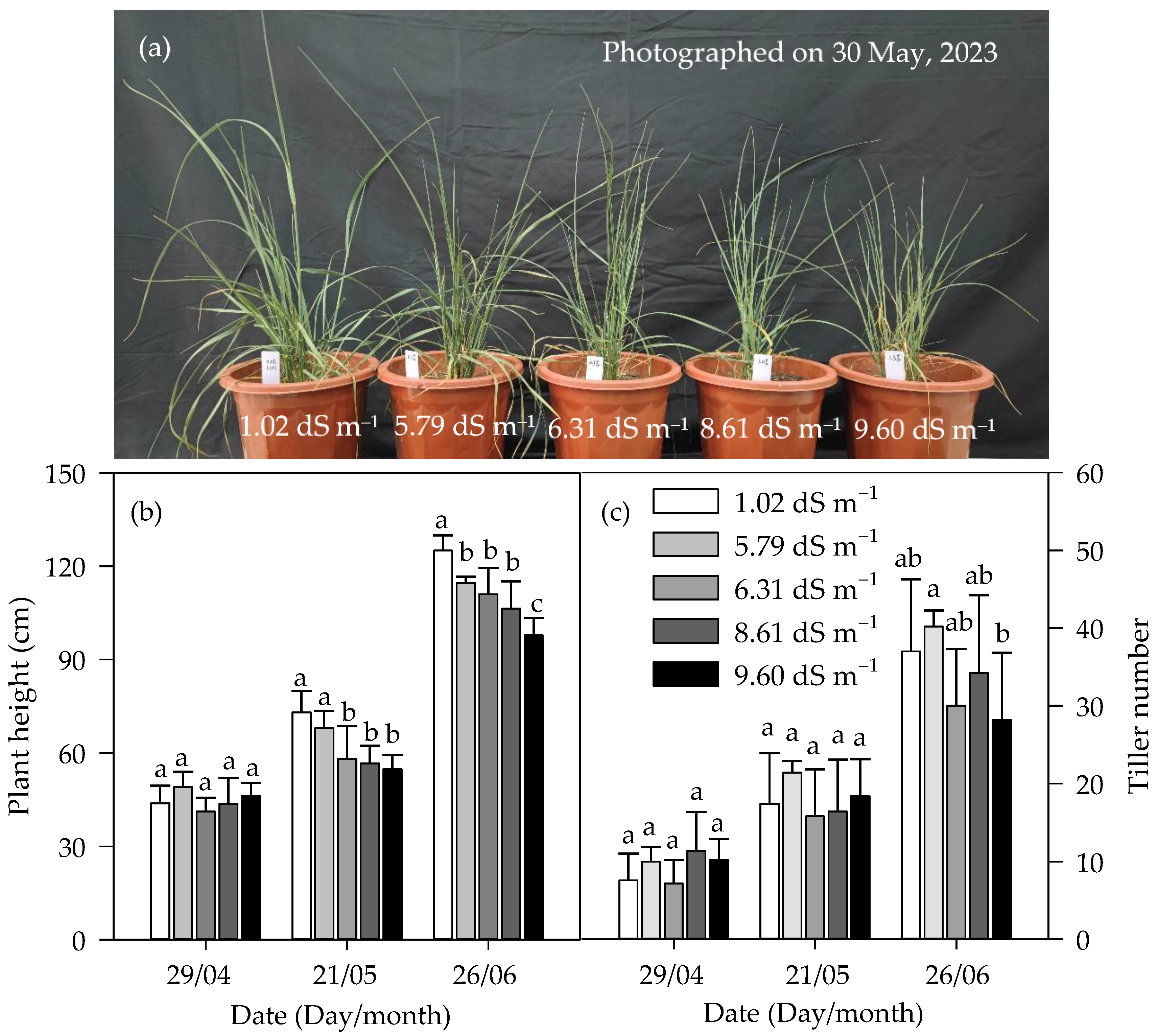 Agriculture 13 02117 g004
