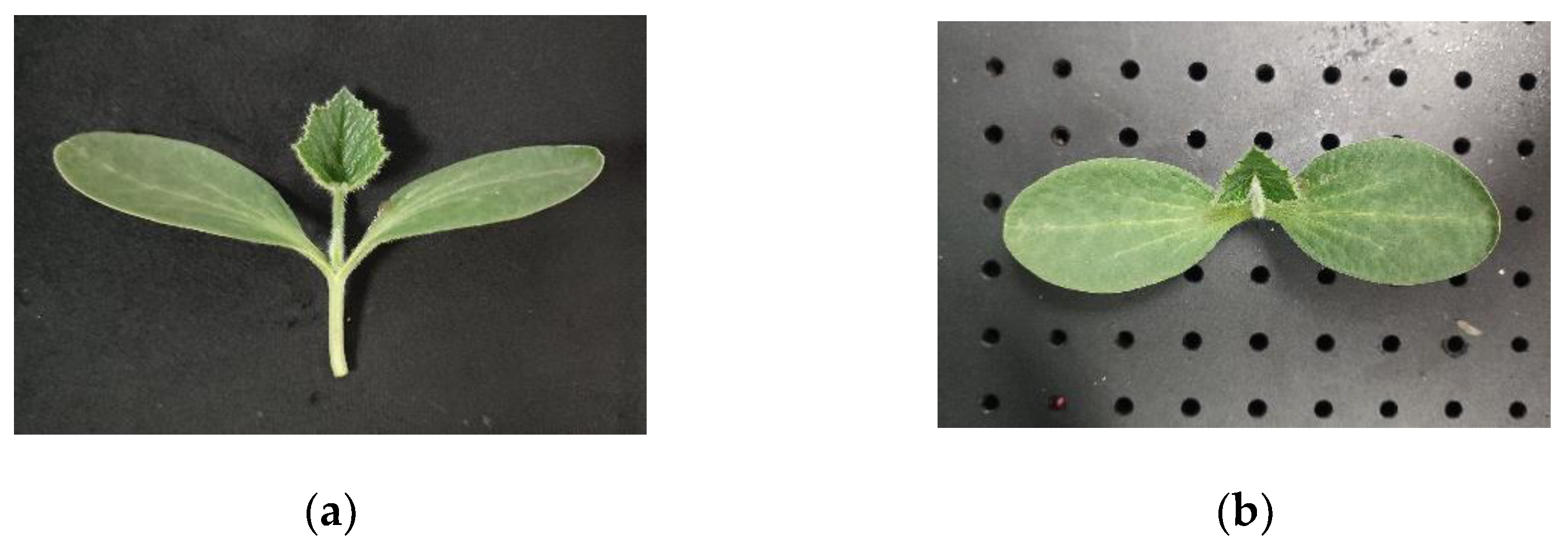 Agriculture 13 02139 g009