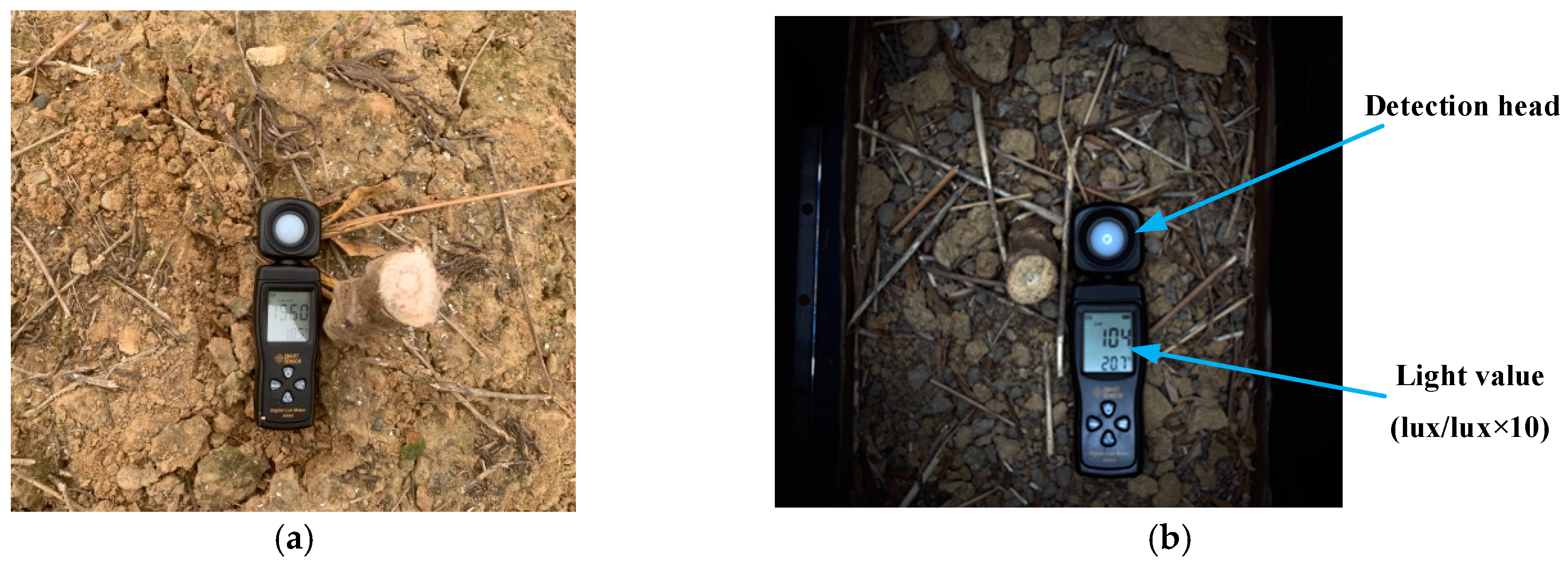 Agriculture 13 02144 g007