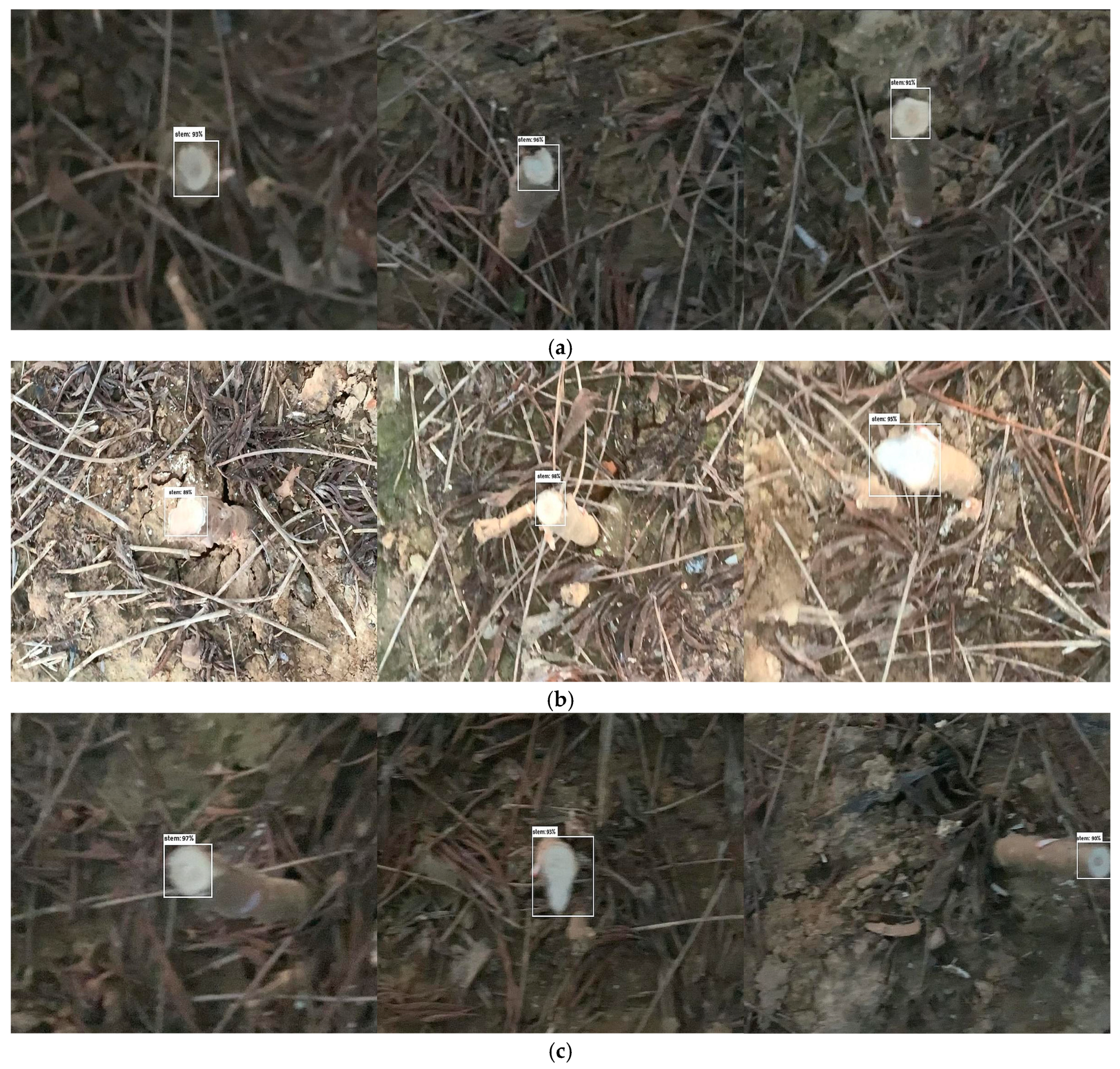 Agriculture 13 02144 g014