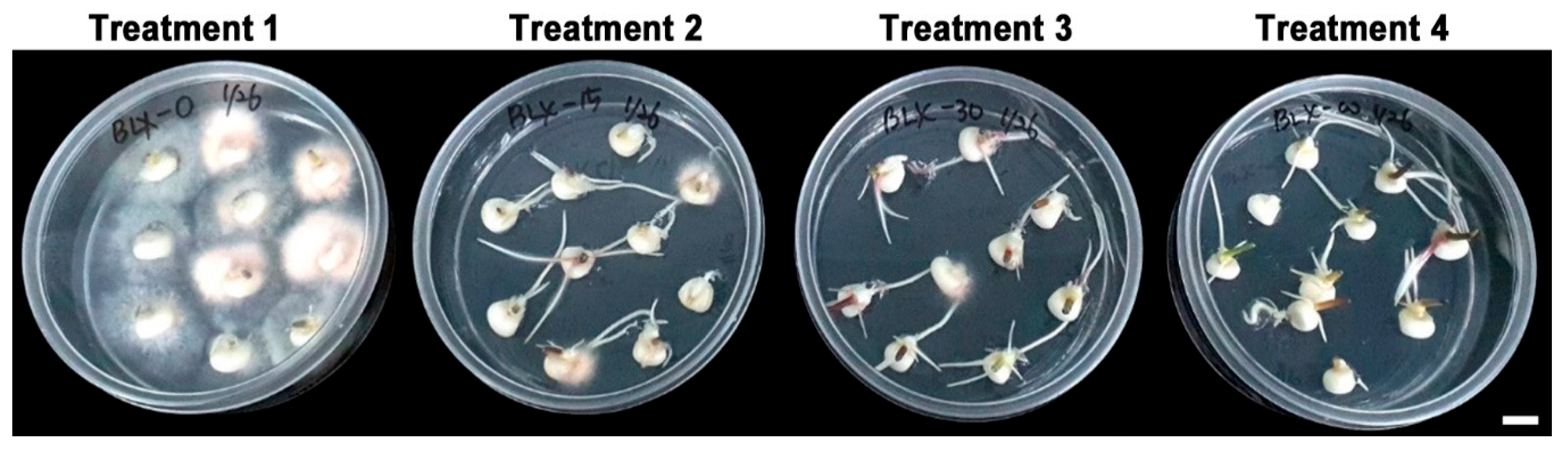 Agriculture 13 02147 g002