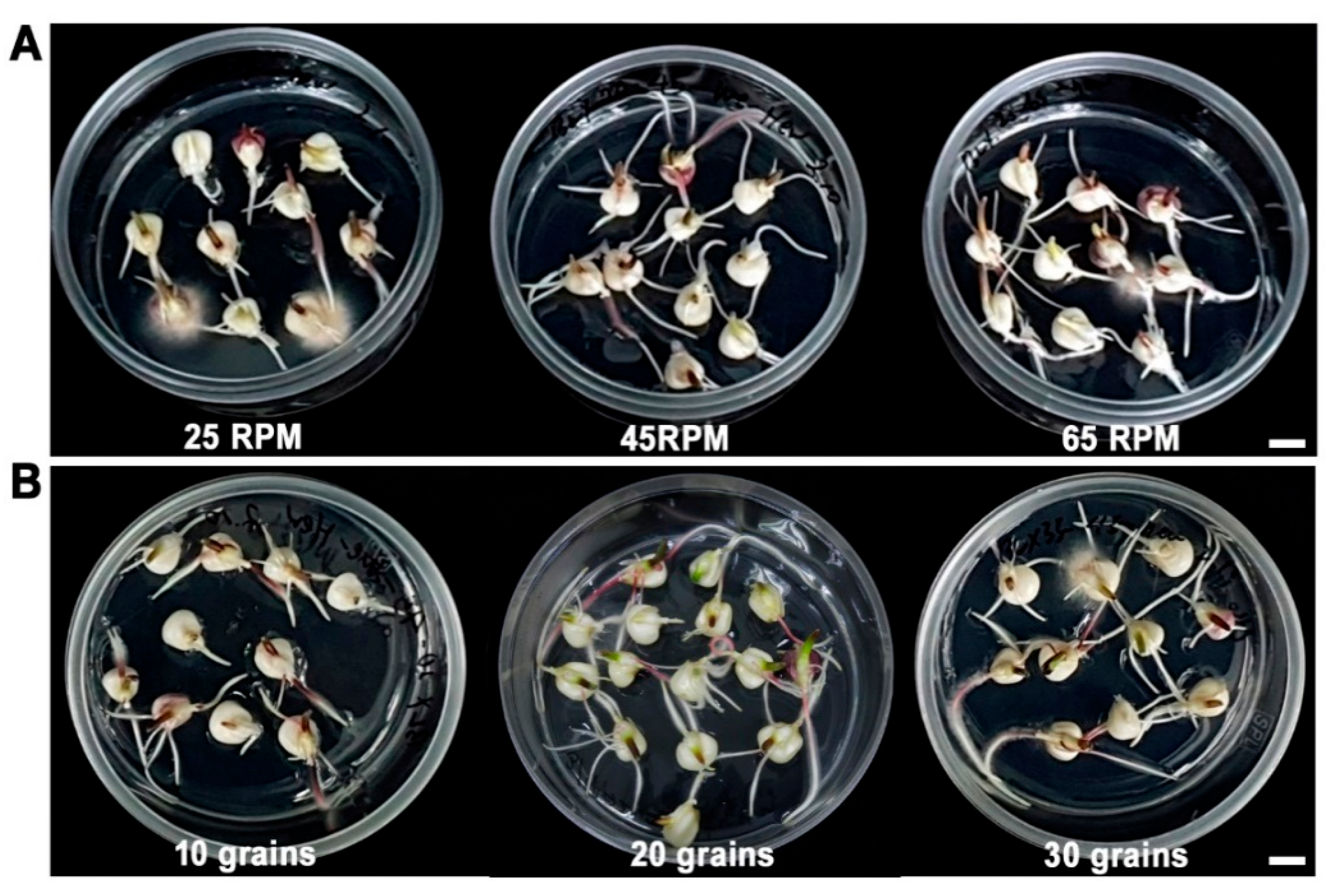 Agriculture 13 02147 g003