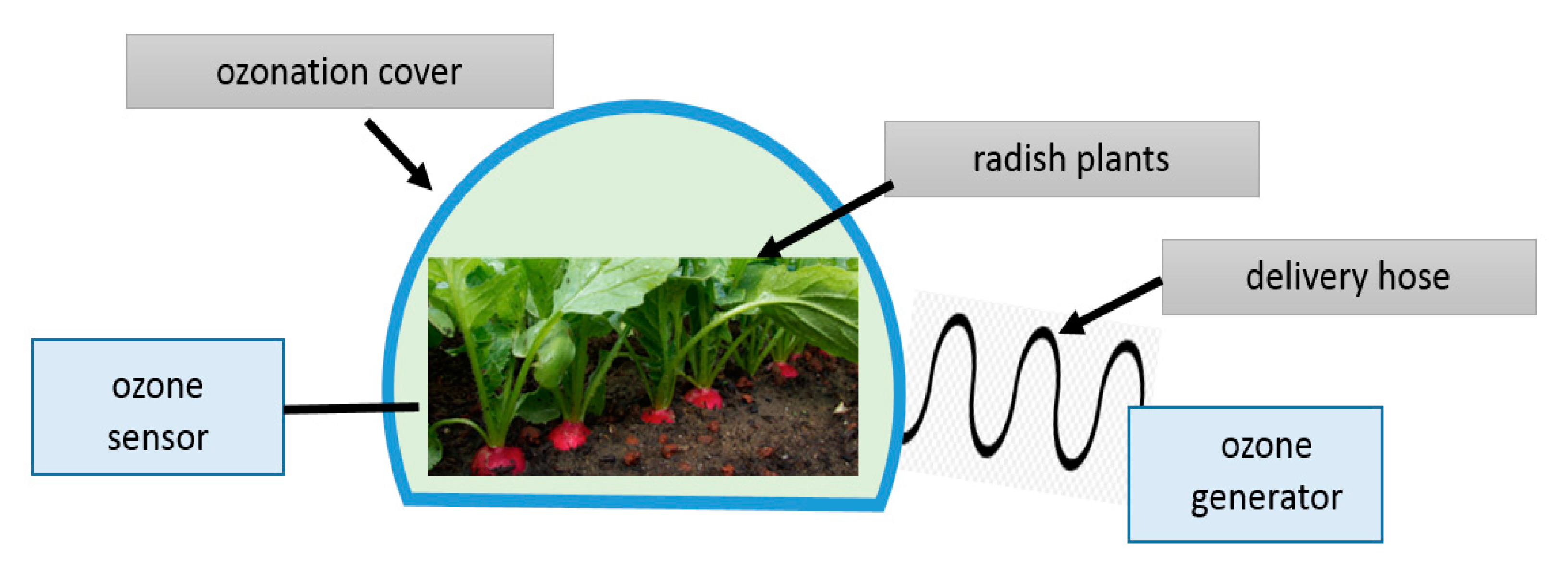 Agriculture 13 02153 g001