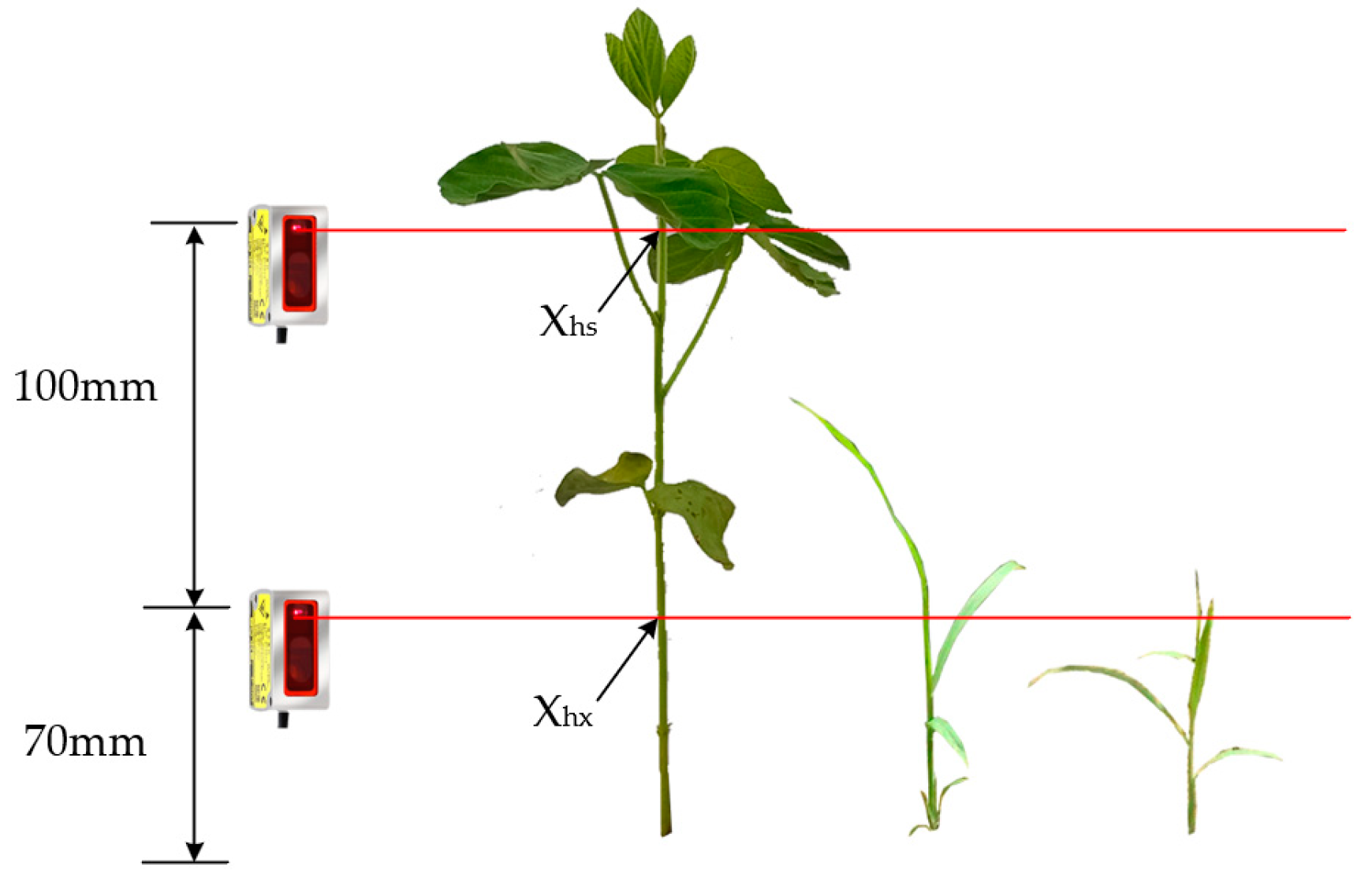 Agriculture 13 02157 g008